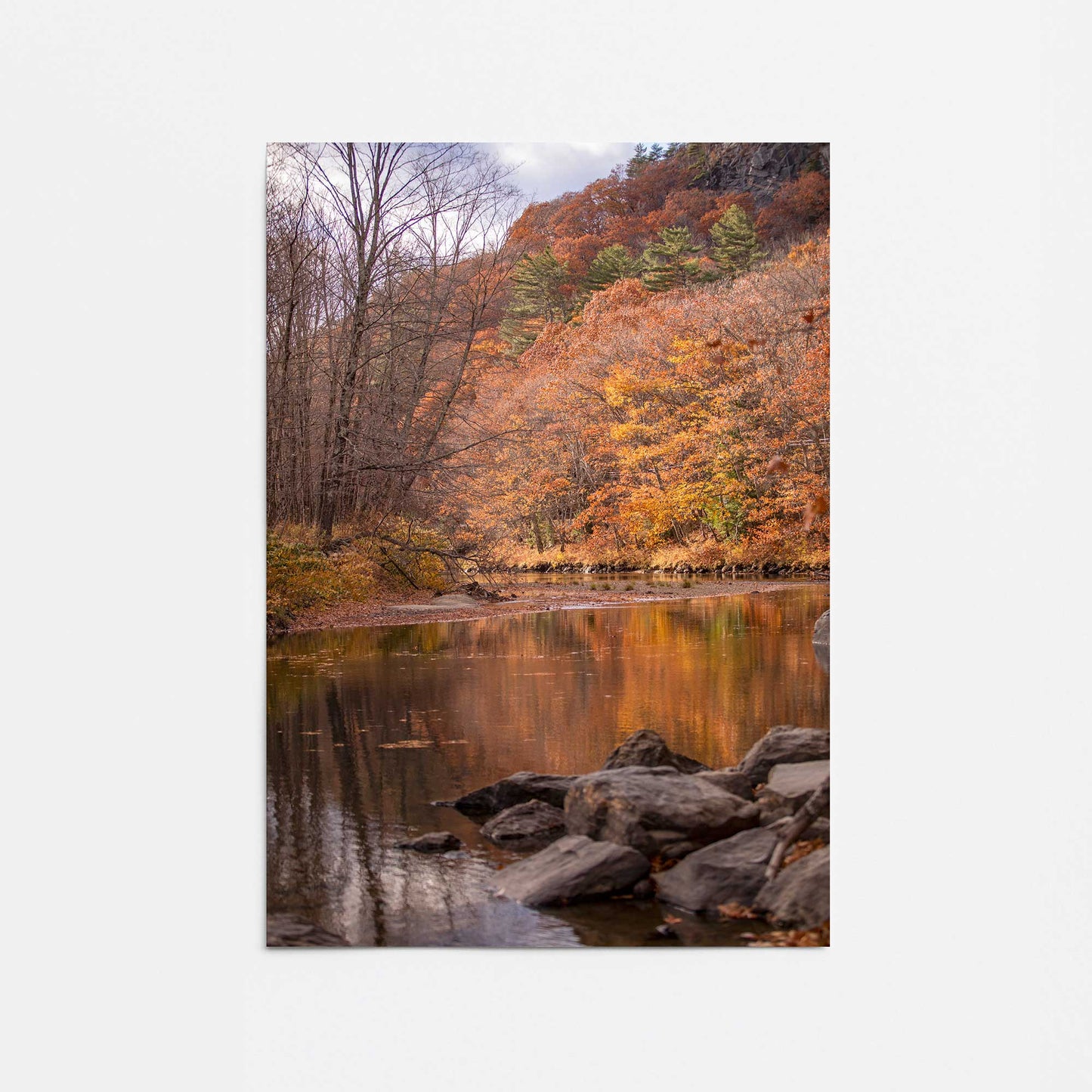 [Color:Rolled Print], Picture of close up of art
