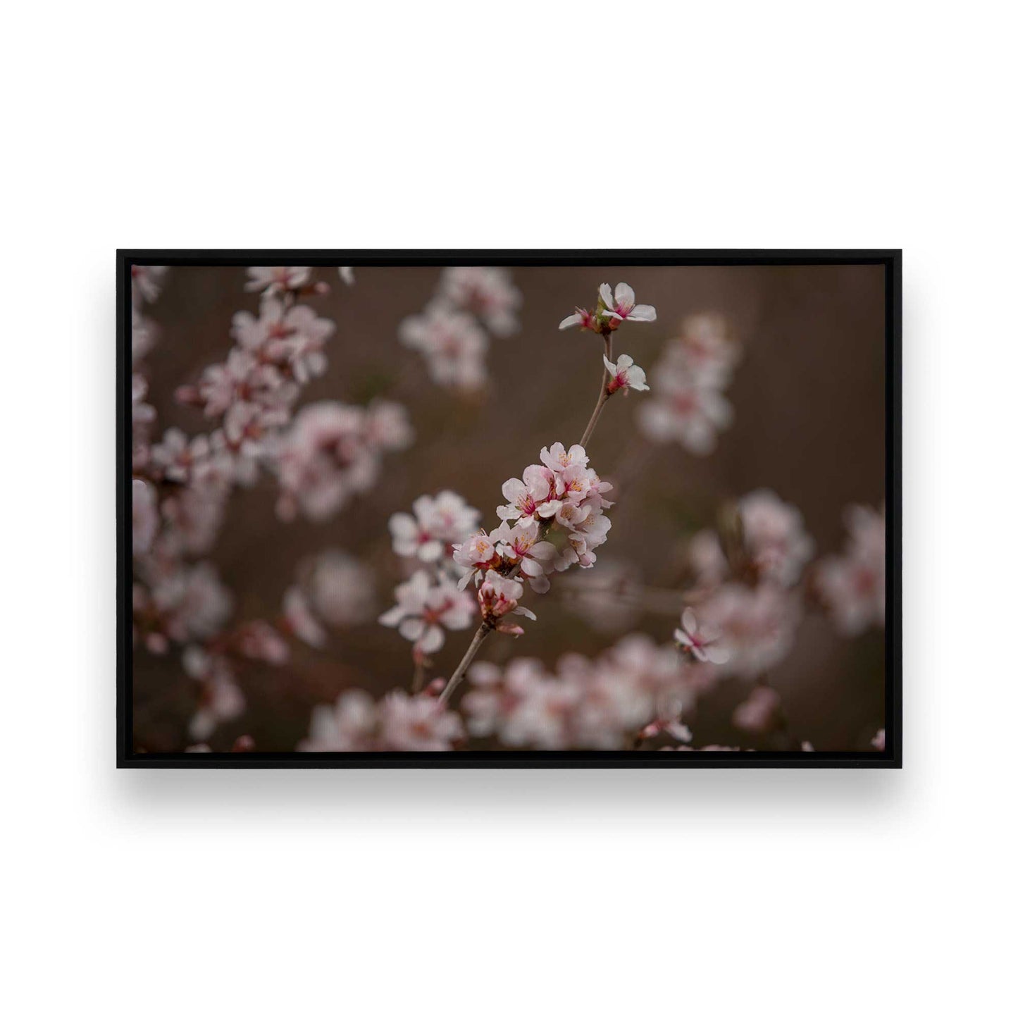 [Color:Satin Black], Picture of art in a Satin Black frame