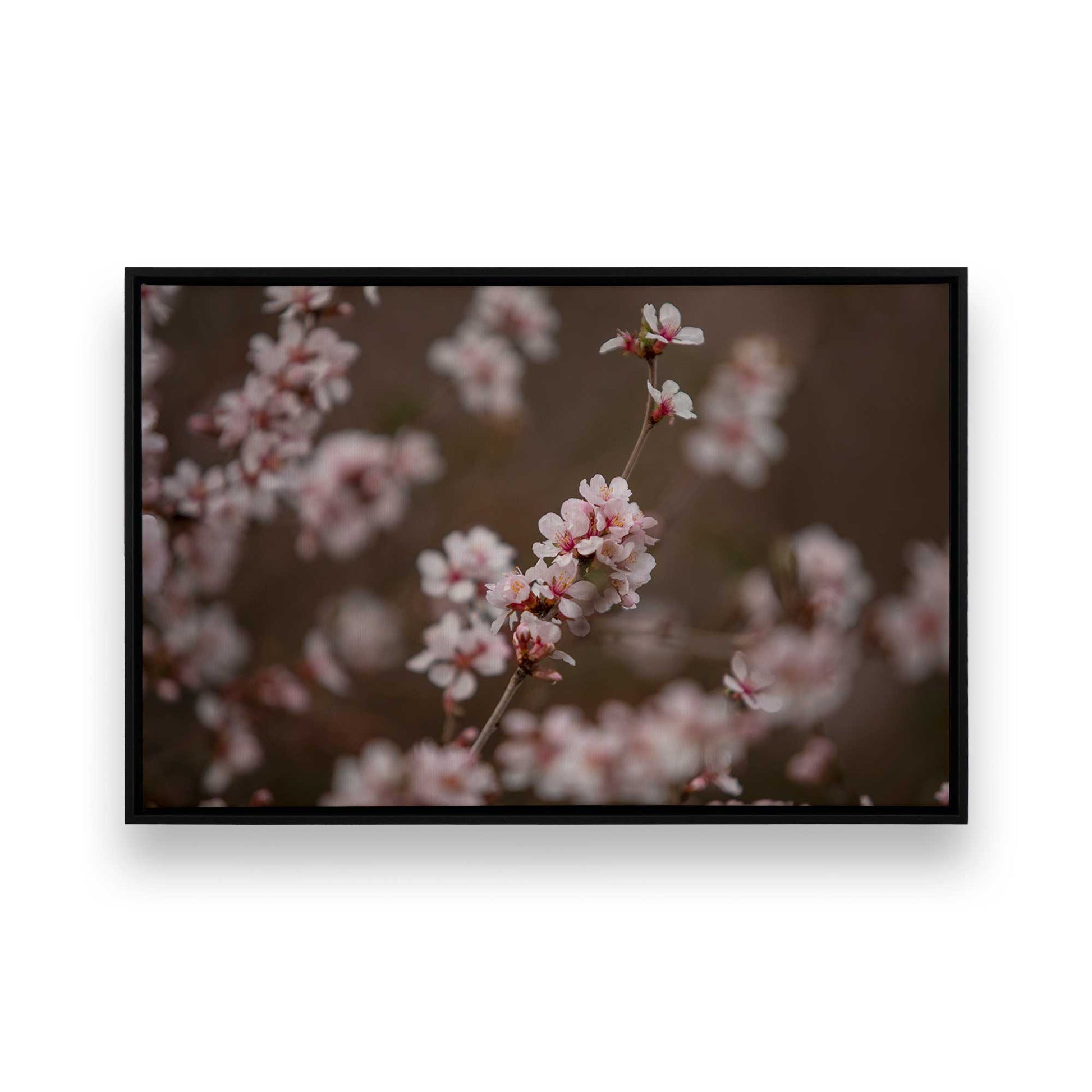 [Color:Satin Black], Picture of art in a Satin Black frame