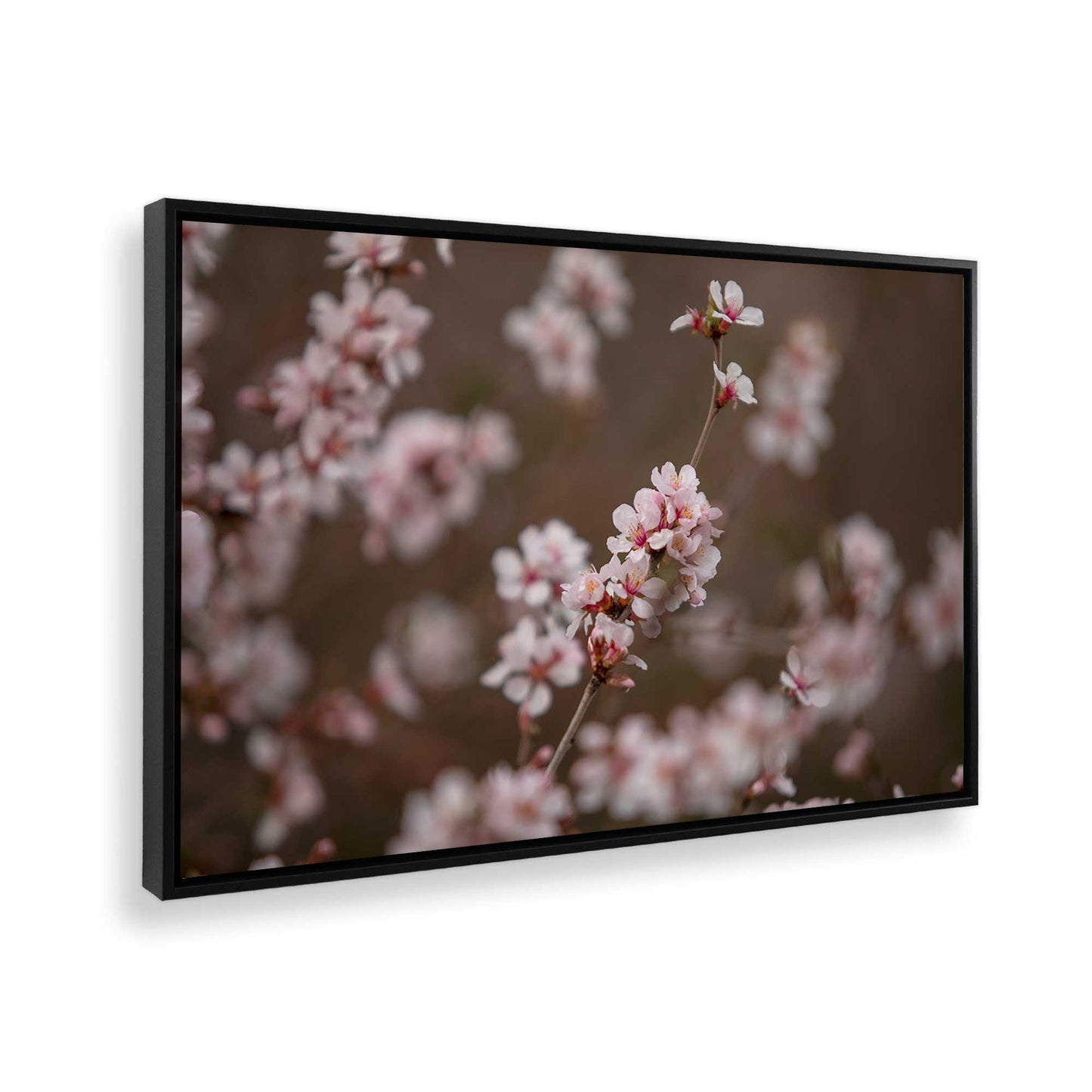 [Color:Satin Black], Picture of the corner of the art