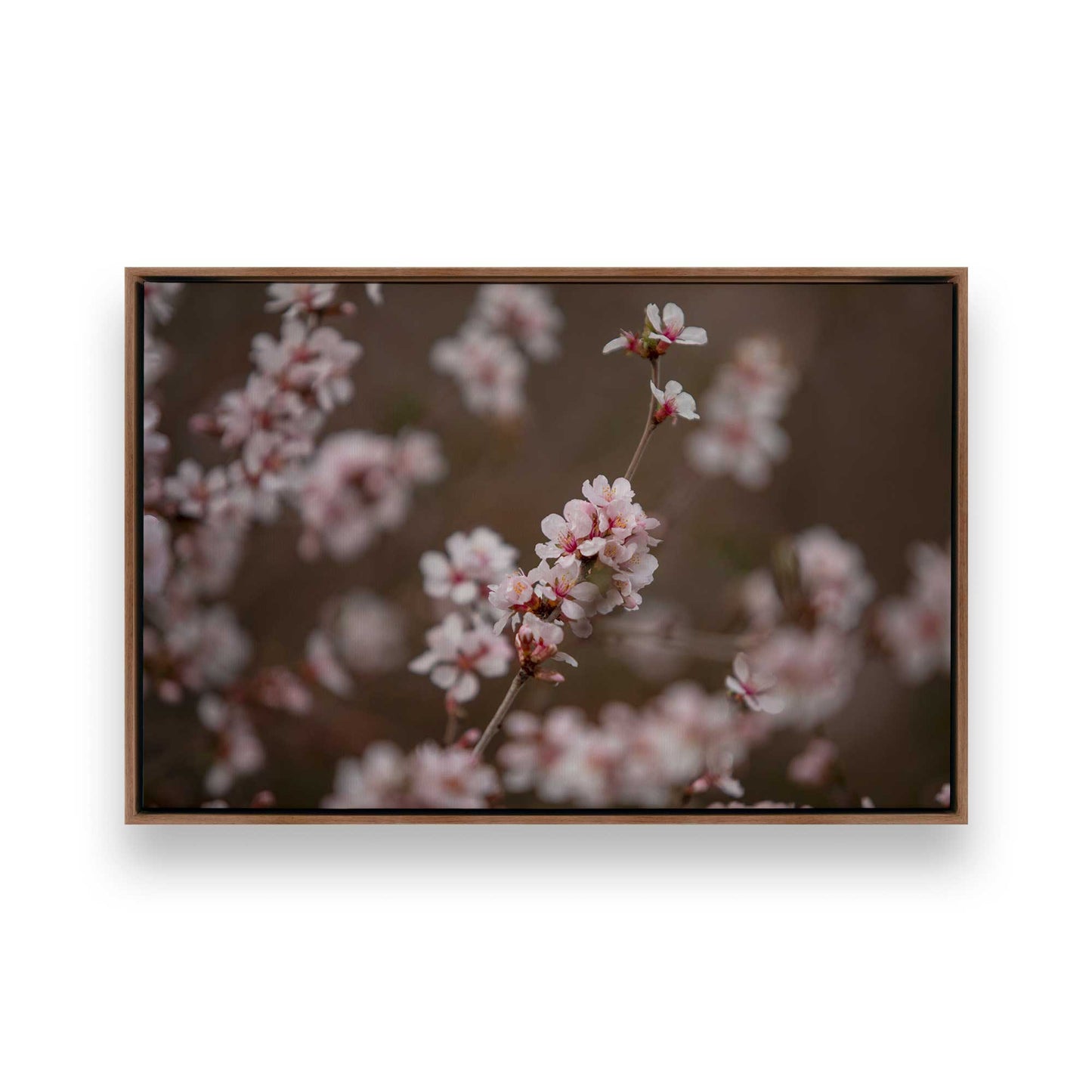 [Color:Walnut], Picture of art in a Walnut frame