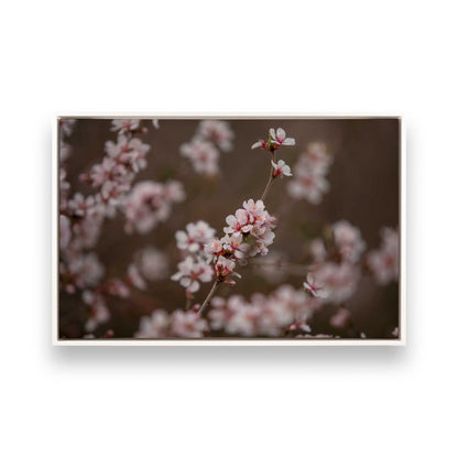 [Color:Opaque White], Picture of art in a White frame