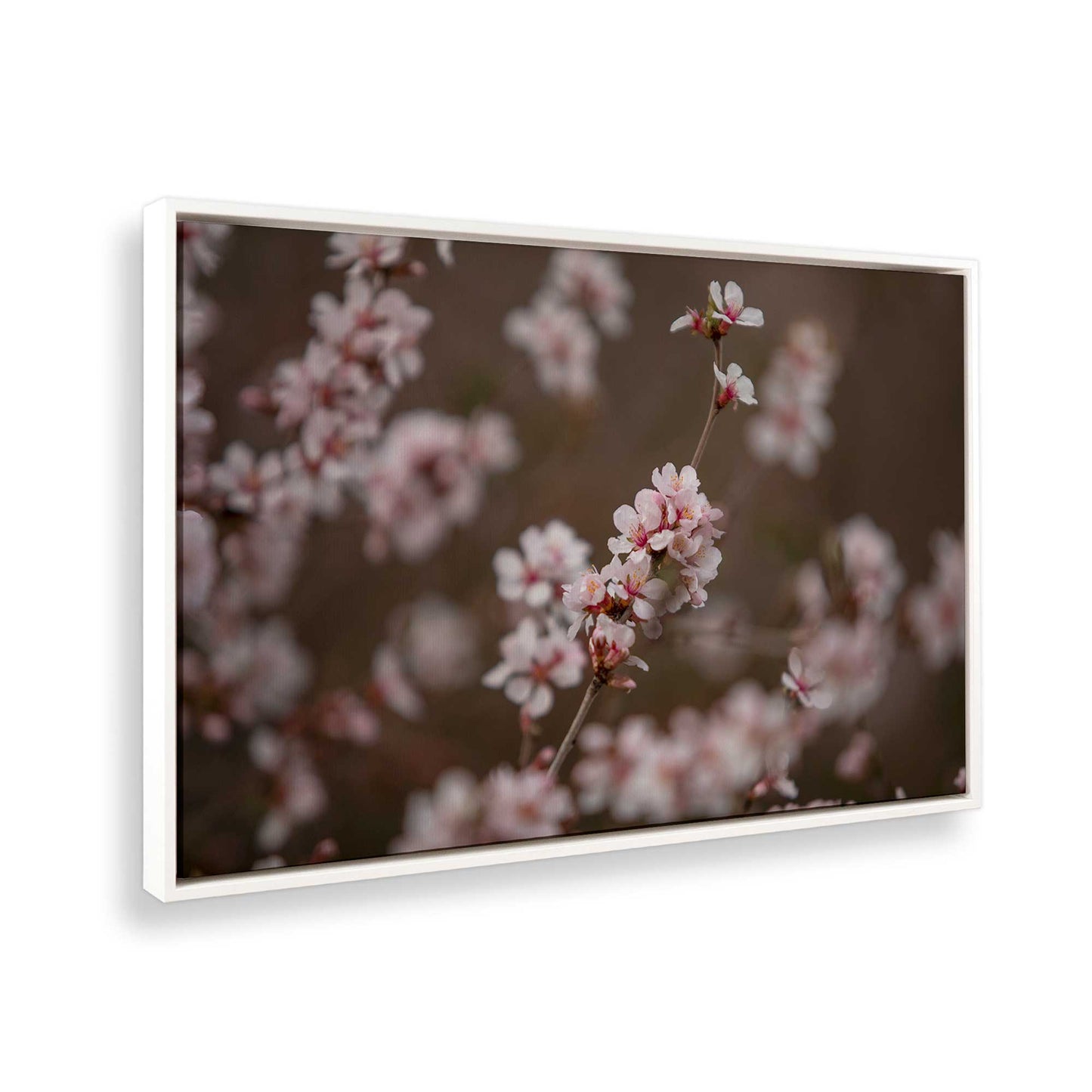 [Color:Opaque White], Picture of the corner of the art
