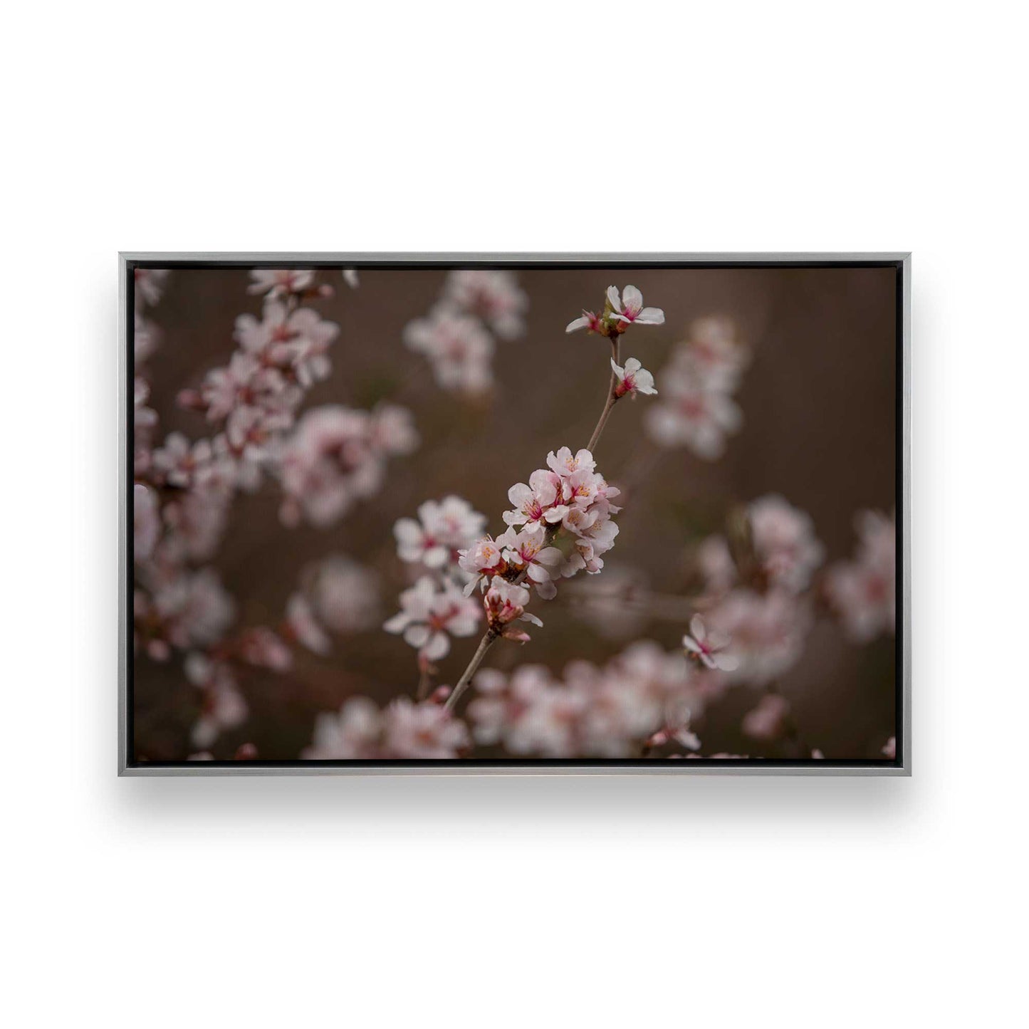 [Color:Polished Chrome], Picture of art in a Polished Chrome frame