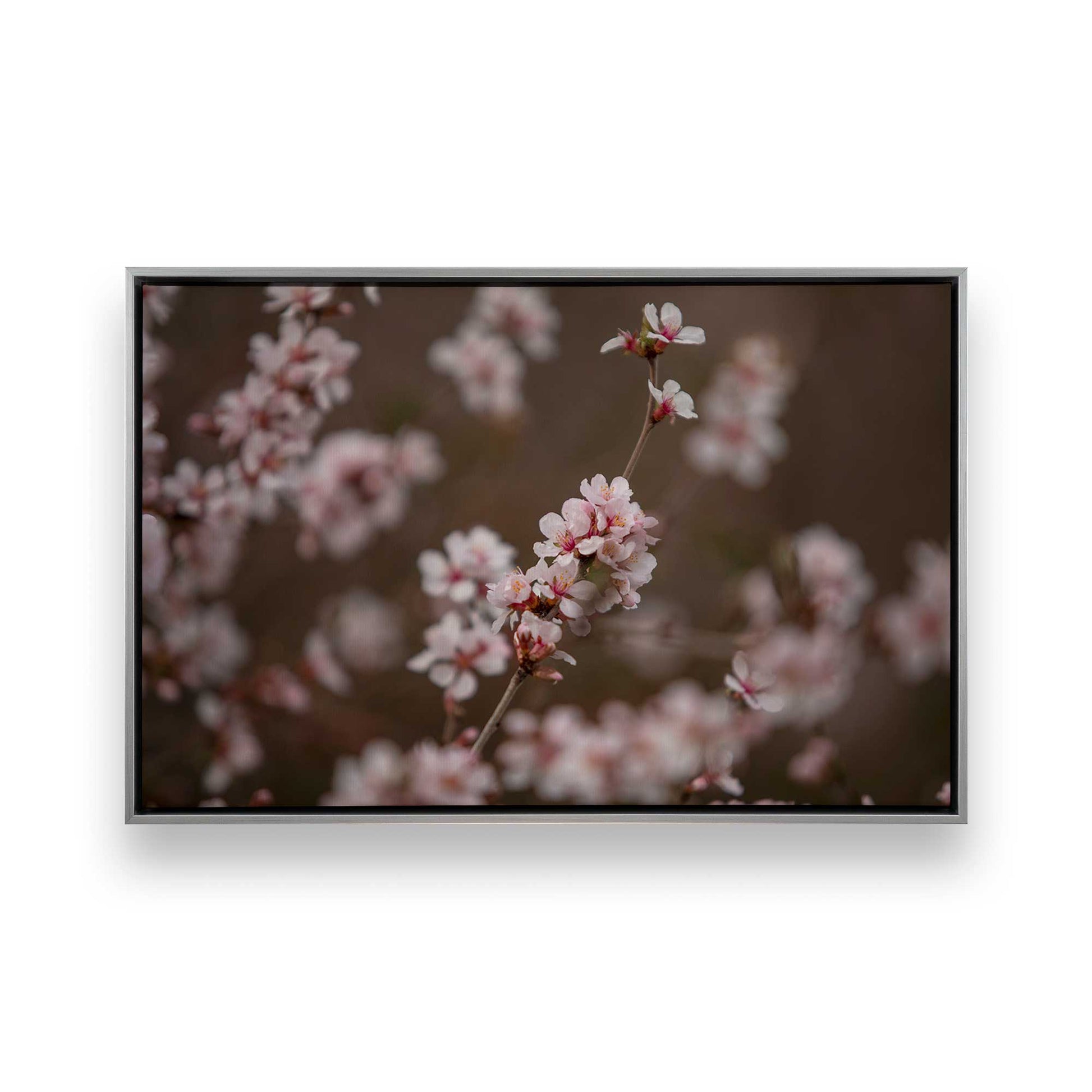 [Color:Polished Chrome], Picture of art in a Polished Chrome frame