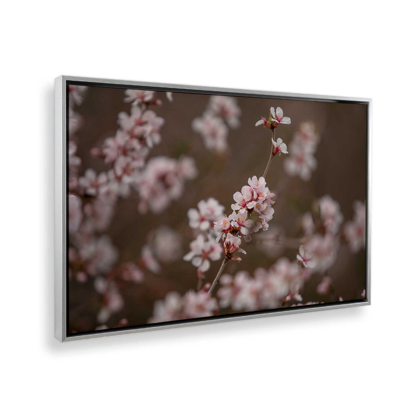 [Color:Polished Chrome], Picture of the corner of the art