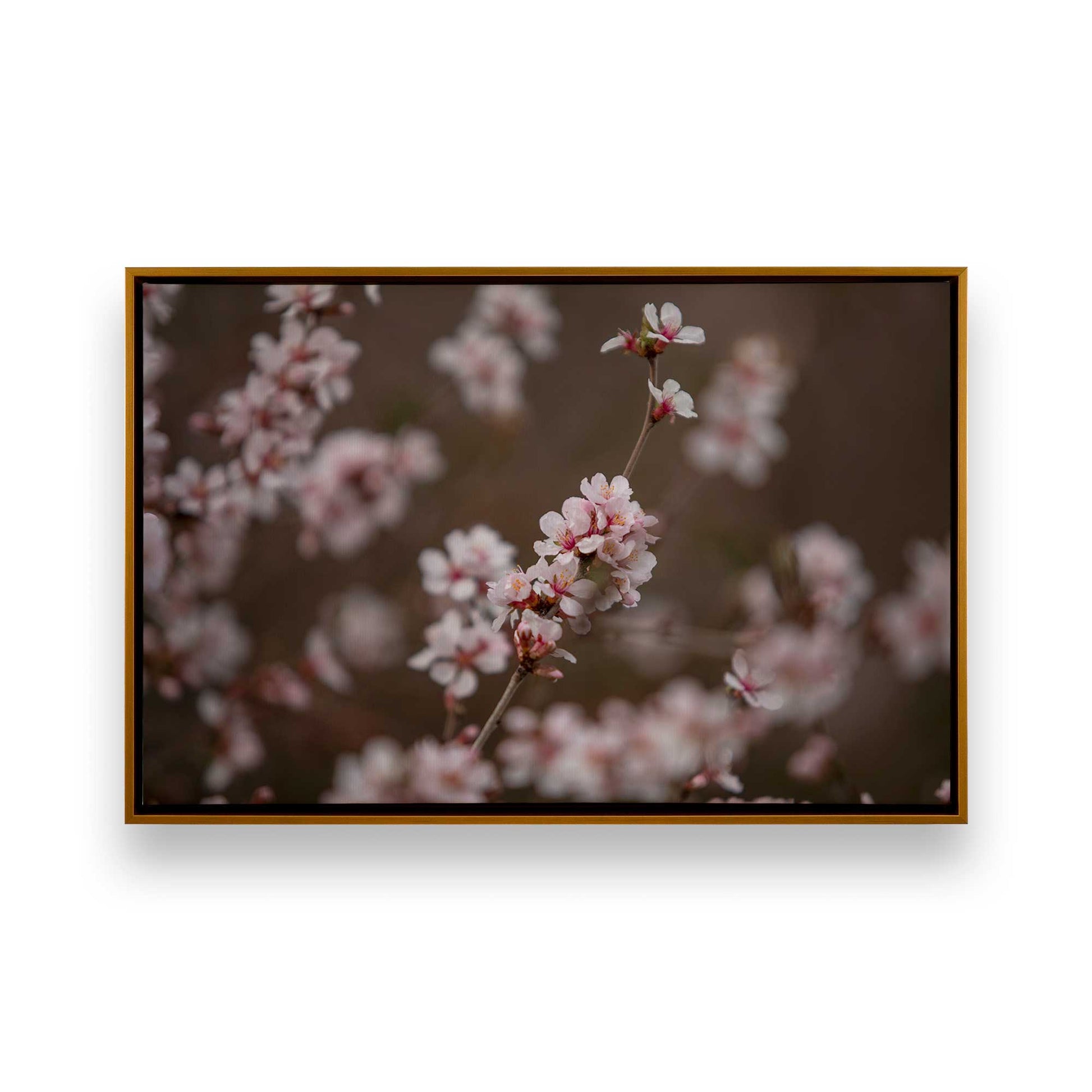[Color:Polished Gold], Picture of art in a Polished Gold frame