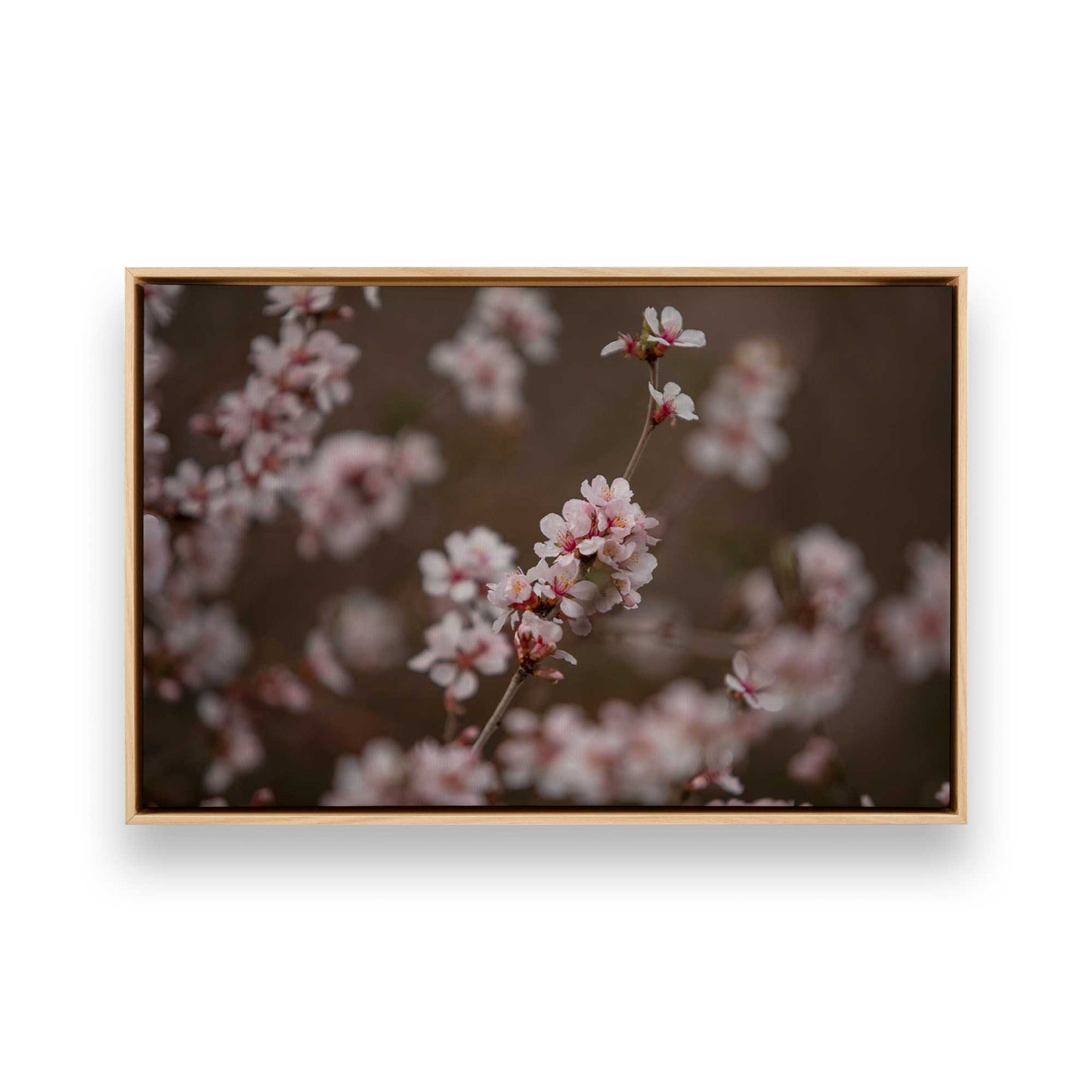 [Color:American Maple], Picture of art in a American Maple frame