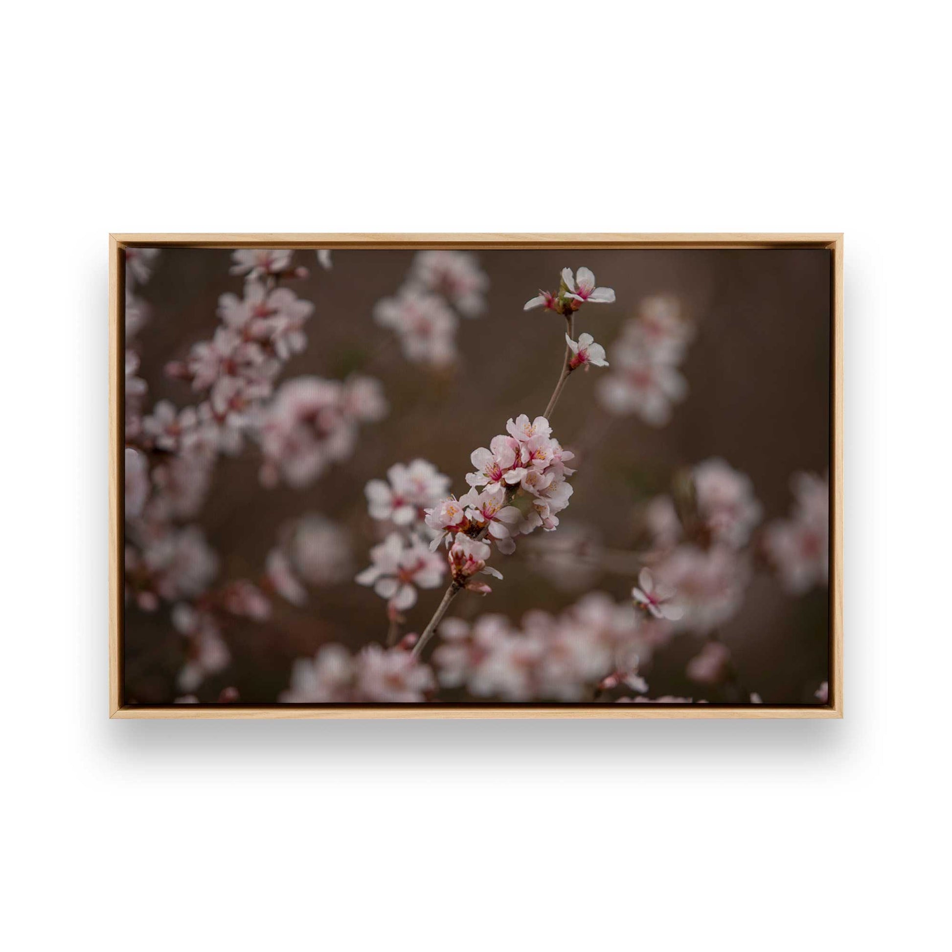 [Color:American Maple], Picture of art in a American Maple frame
