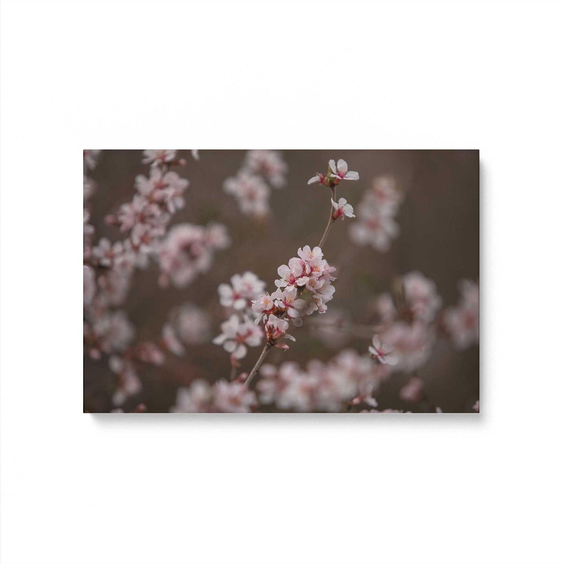 [Color:Stretched Canvas], Picture of art