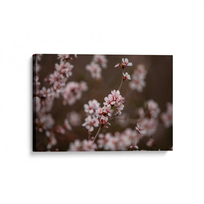 [Color:Stretched Canvas], Picture of art at an angle