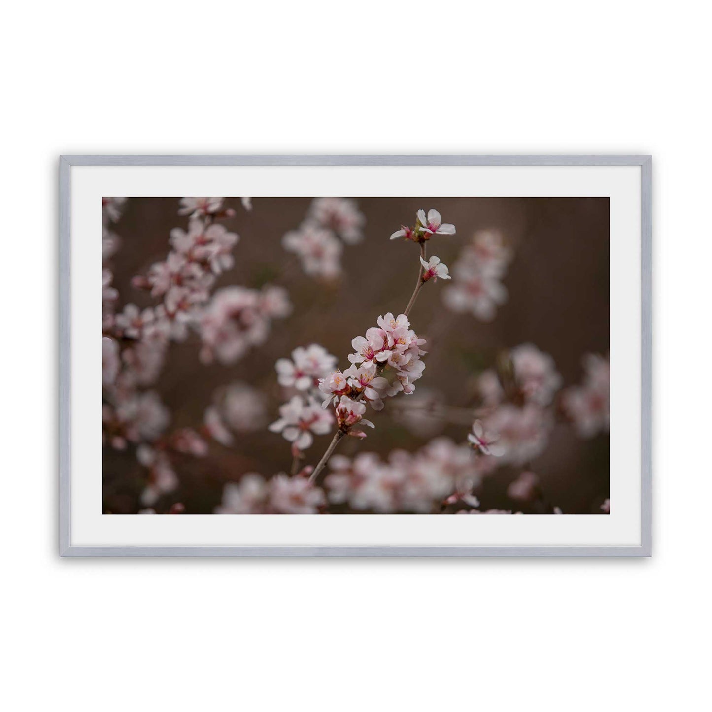 [Color:Polished Chrome], Picture of art in a Polished Chrome frame