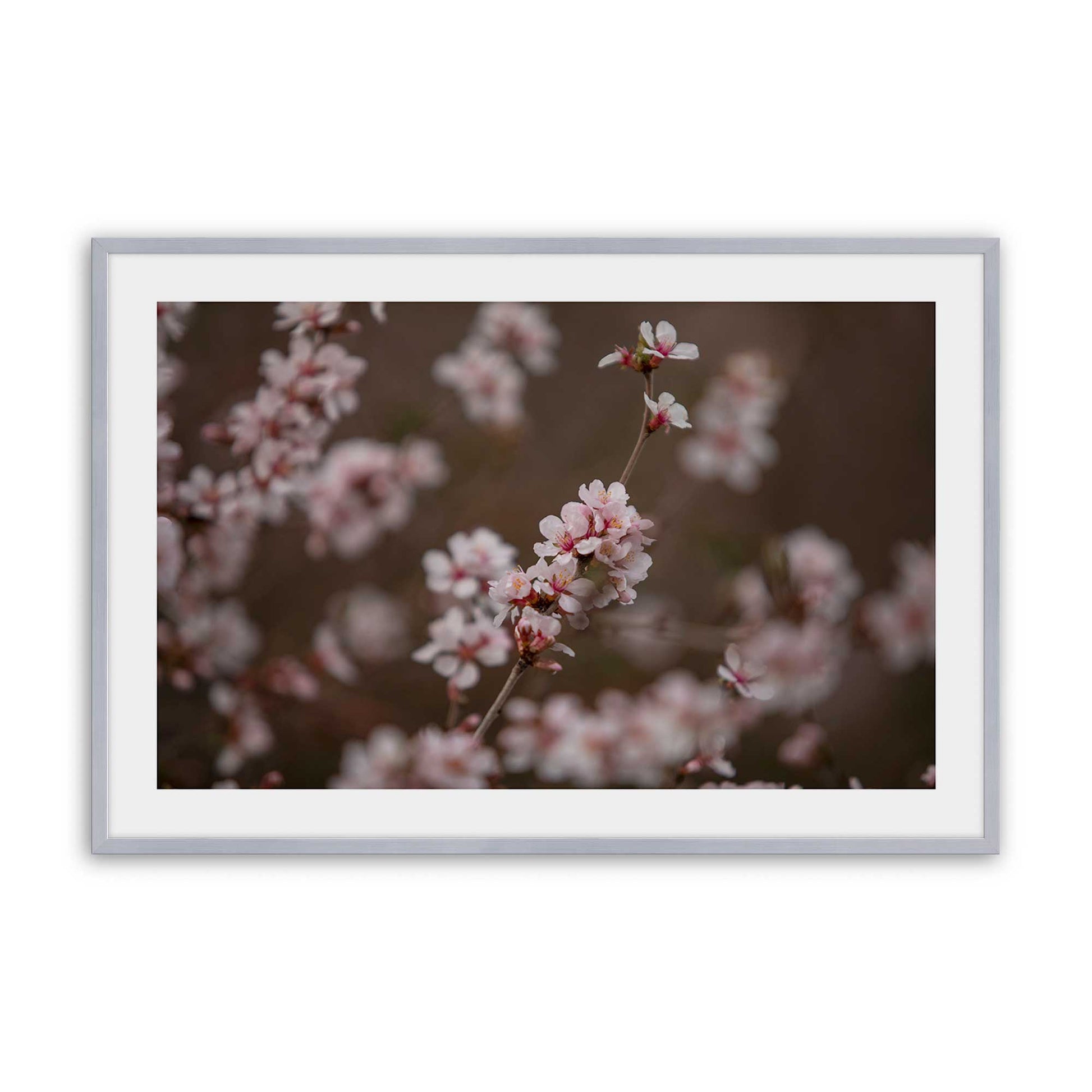 [Color:Polished Chrome], Picture of art in a Polished Chrome frame