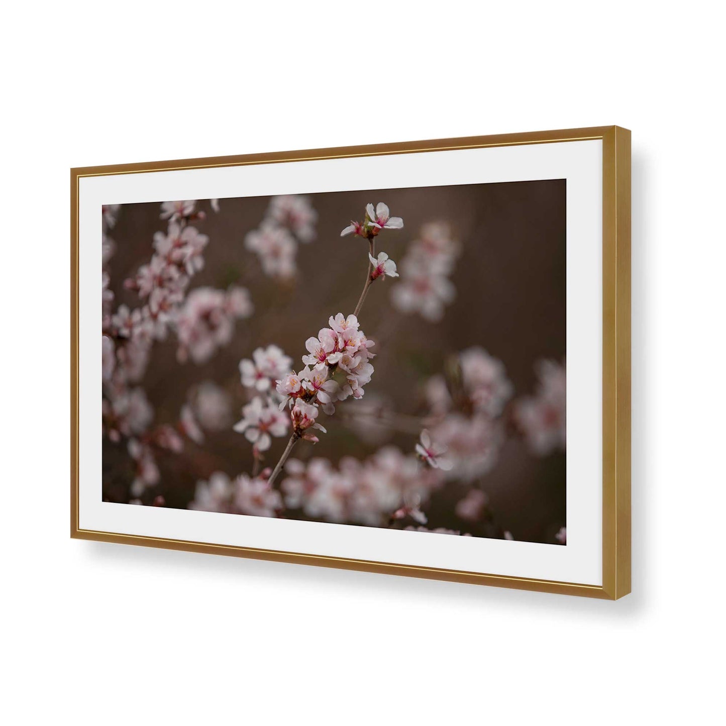 [Color:Polished Gold], Picture of art in a Polished Gold frame of the corner