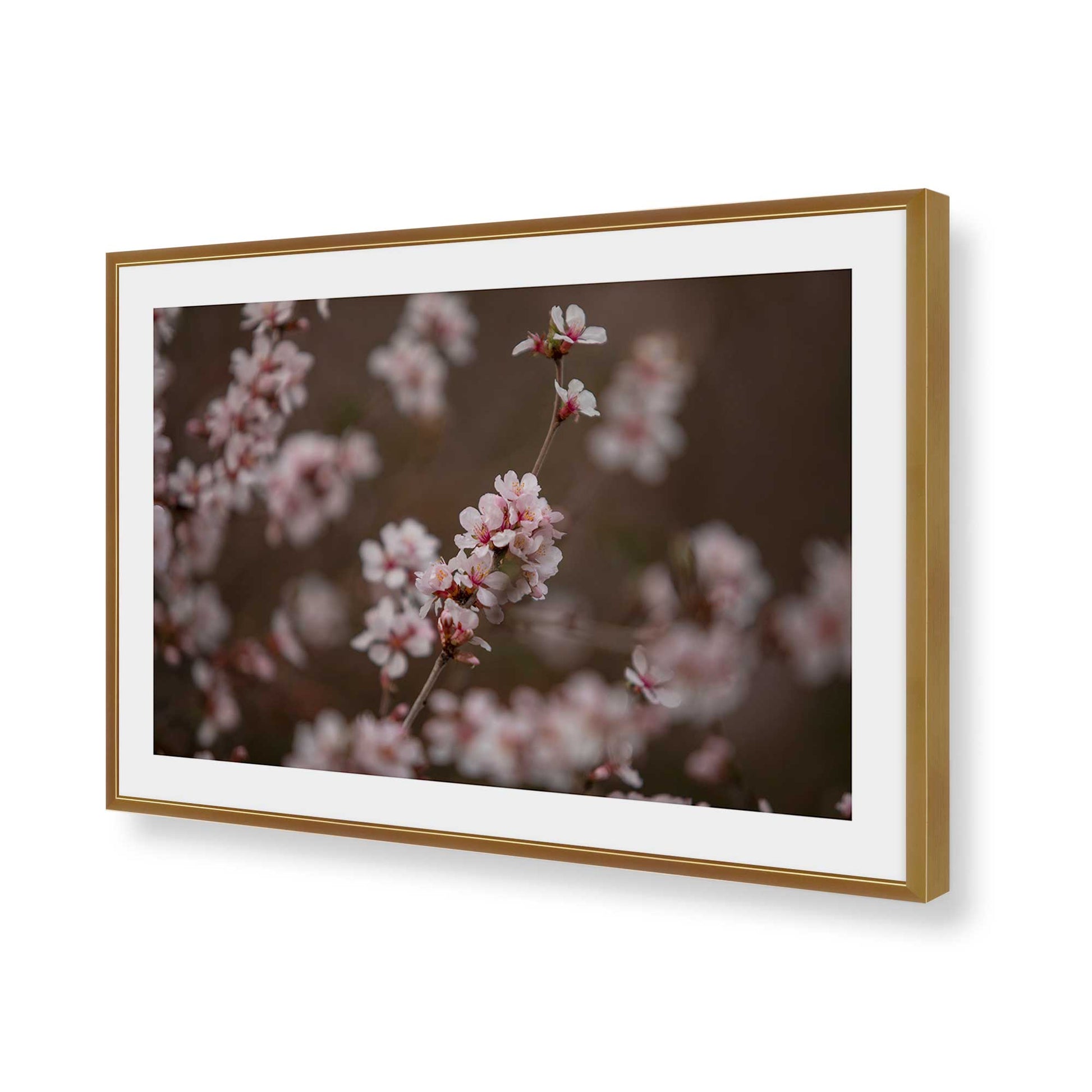 [Color:Polished Gold], Picture of art in a Polished Gold frame of the corner