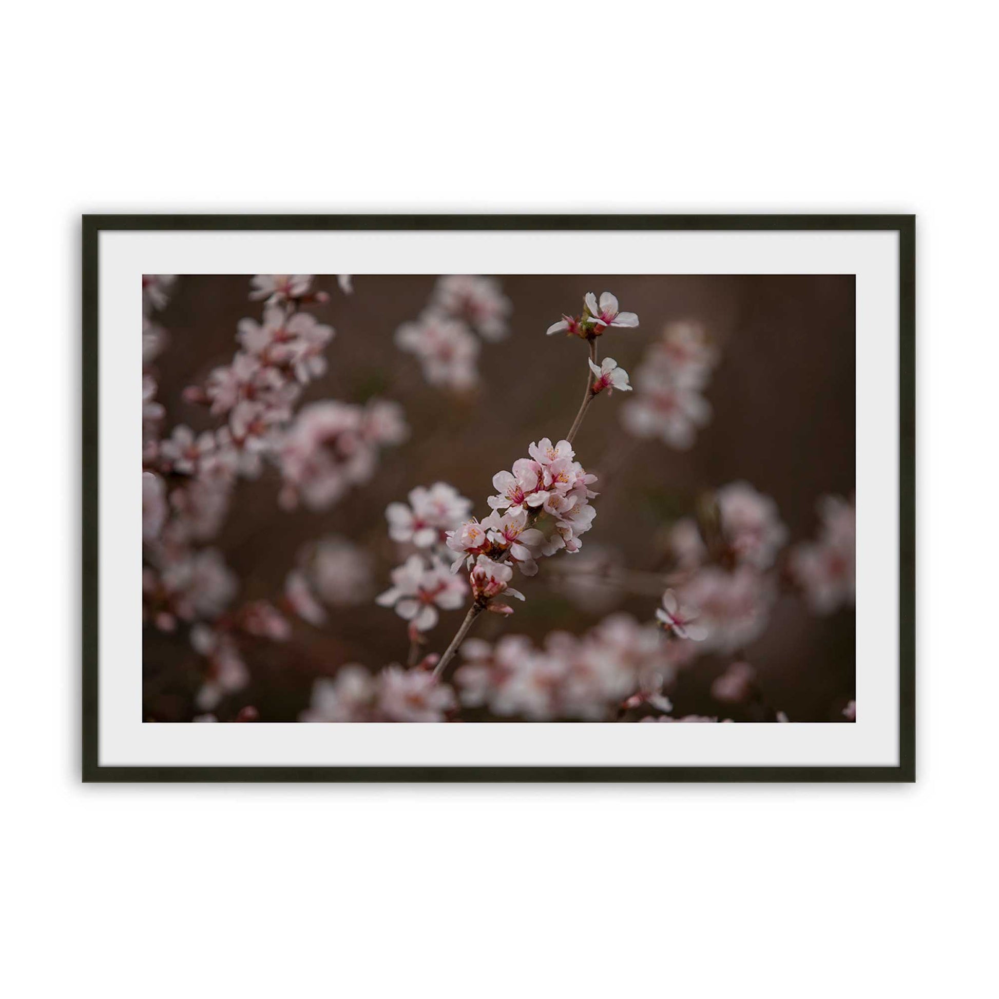 [Color:Satin Black], Picture of art in a Satin Black frame