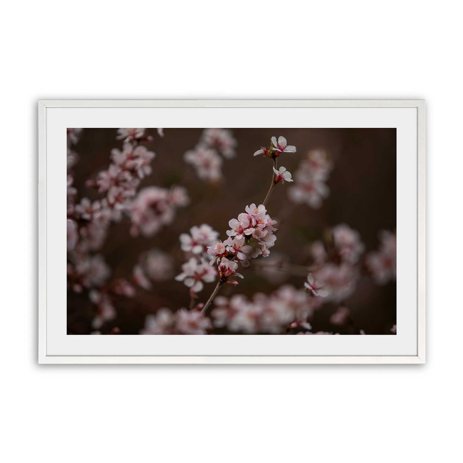 [Color:Opaque White], Picture of art in a Opaque White frame
