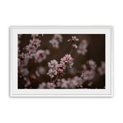 [Color:Opaque White], Picture of art in a Opaque White frame