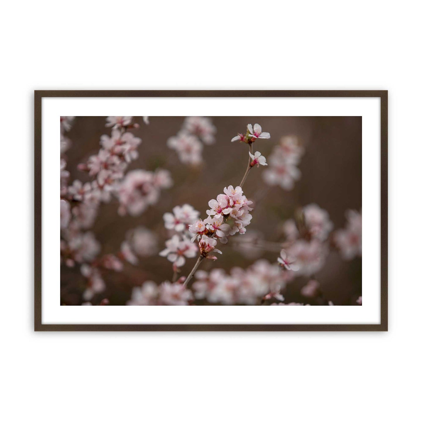 [Color:Belvinder Brown], Picture of art in a Belvinder Brown frame