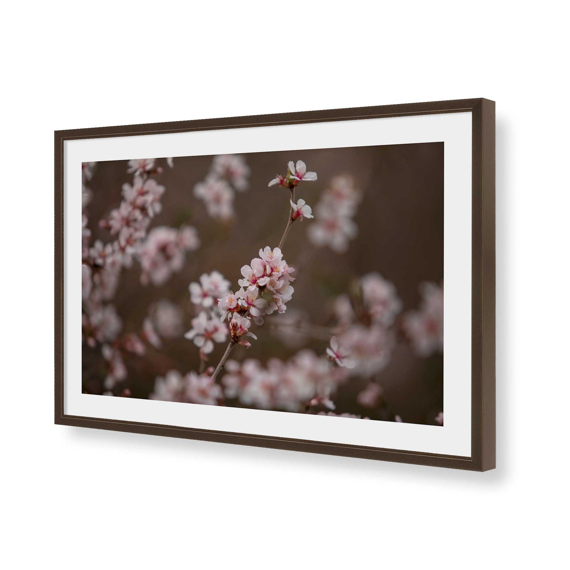 [Color:Belvinder Brown], Picture of art in a Belvinder Brown frame of the corner