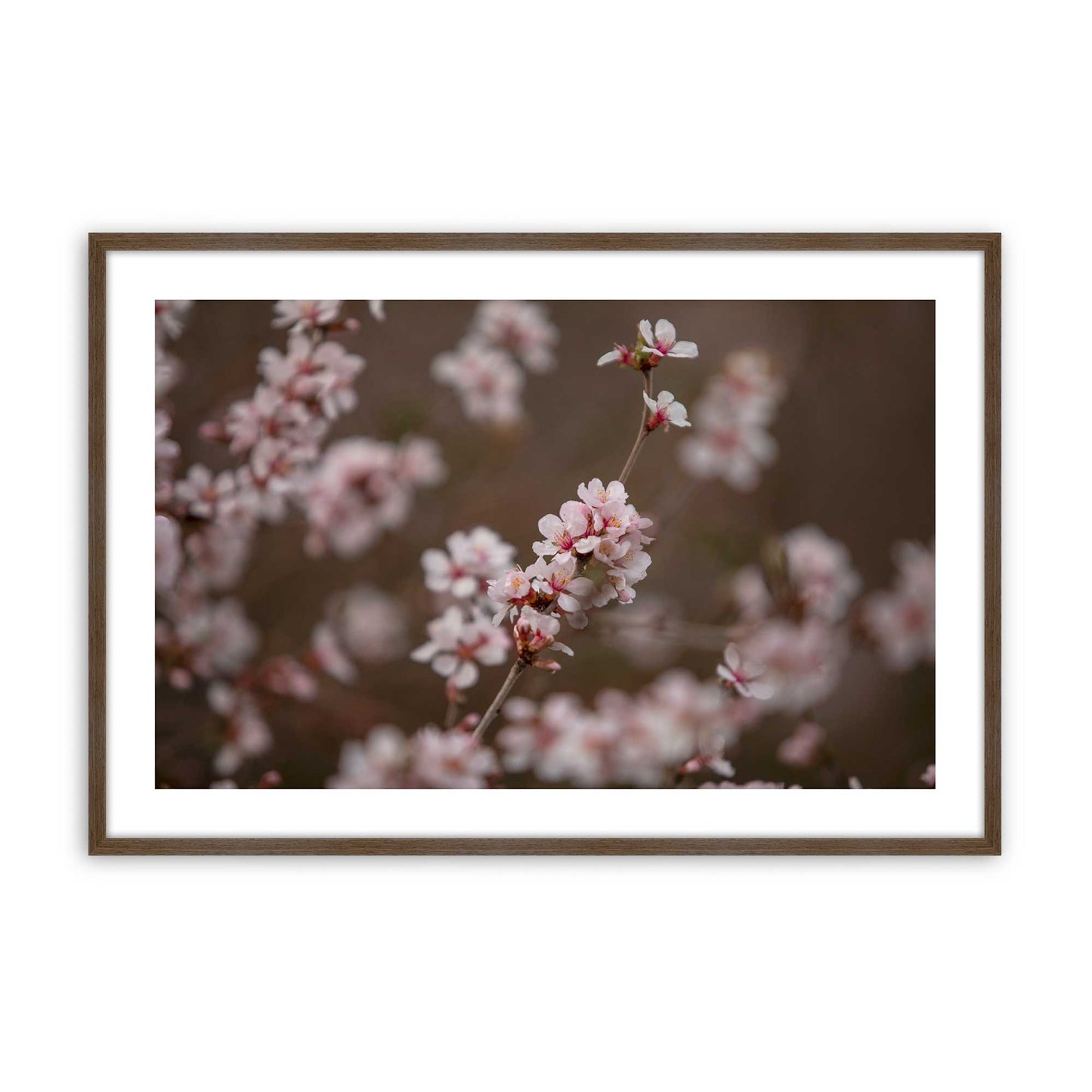[Color:Walnut], Picture of art in a Walnut frame