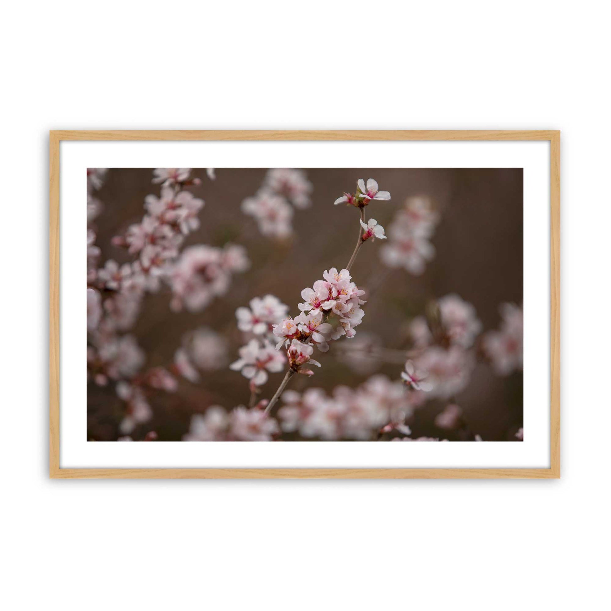 [Color:American Maple], Picture of art in a American Maple frame