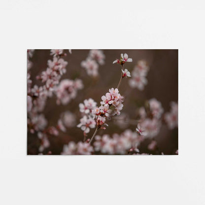 [Color:Rolled Print], Picture of close up of art