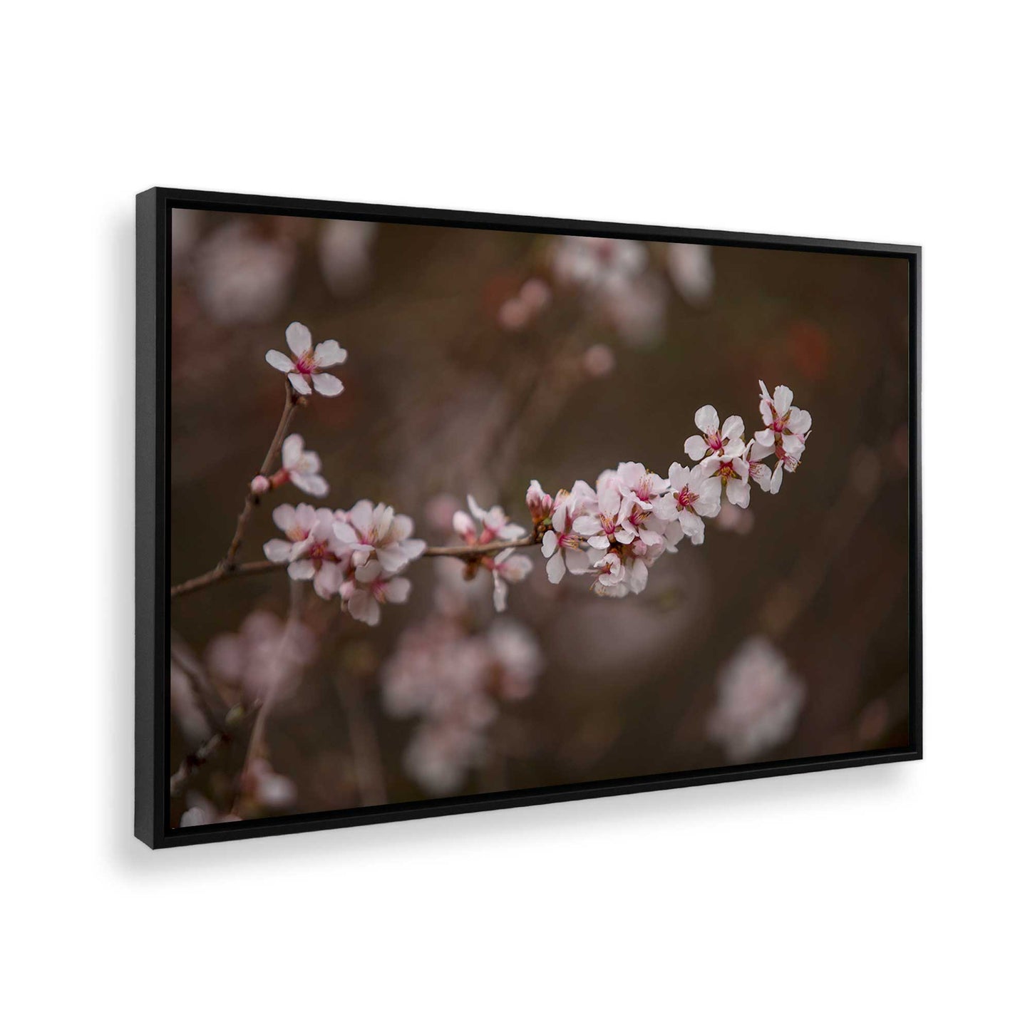 [Color:Satin Black], Picture of the corner of the art