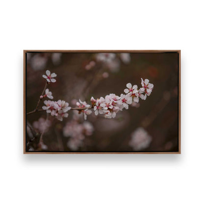 [Color:Walnut], Picture of art in a Walnut frame