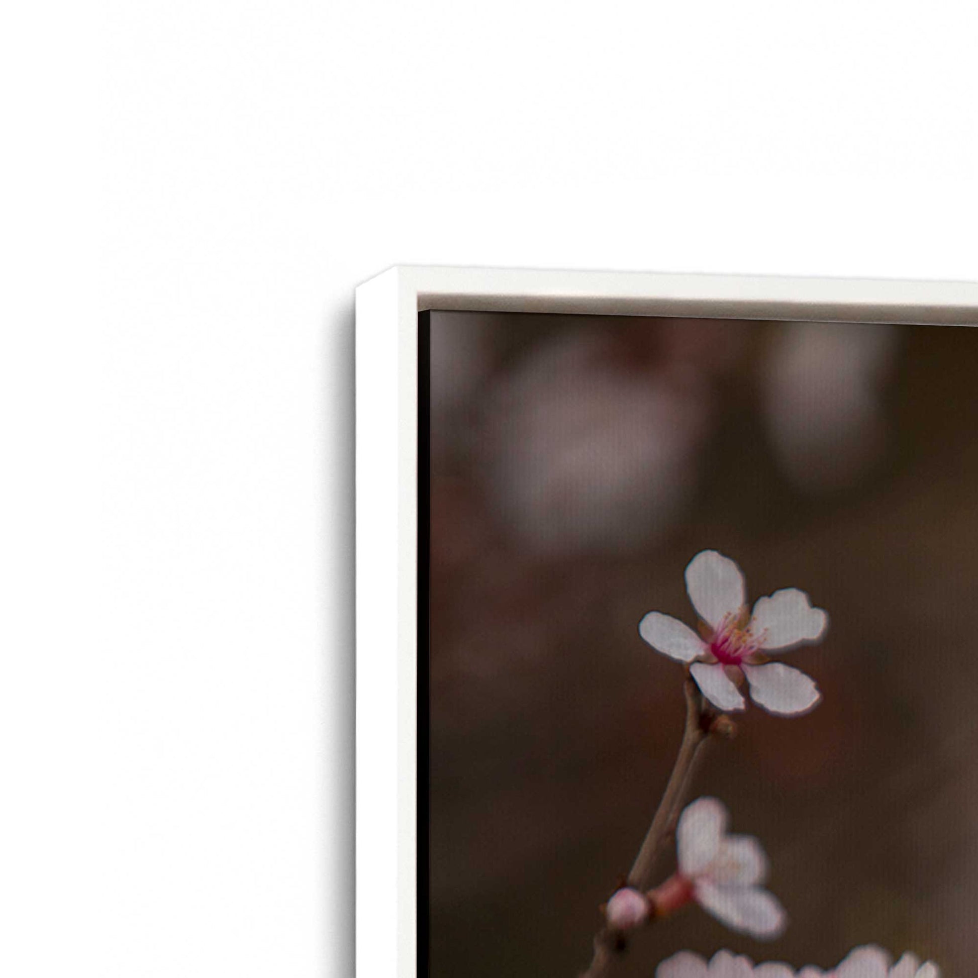 [Color:Opaque White], Picture of art in a White frame at an angle