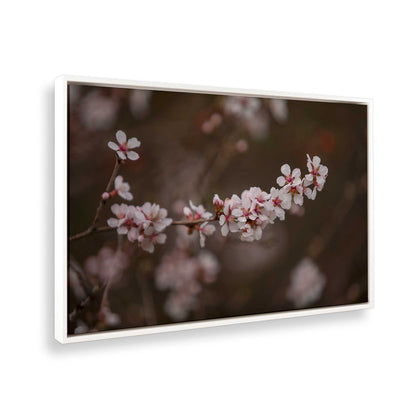 [Color:Opaque White], Picture of the corner of the art