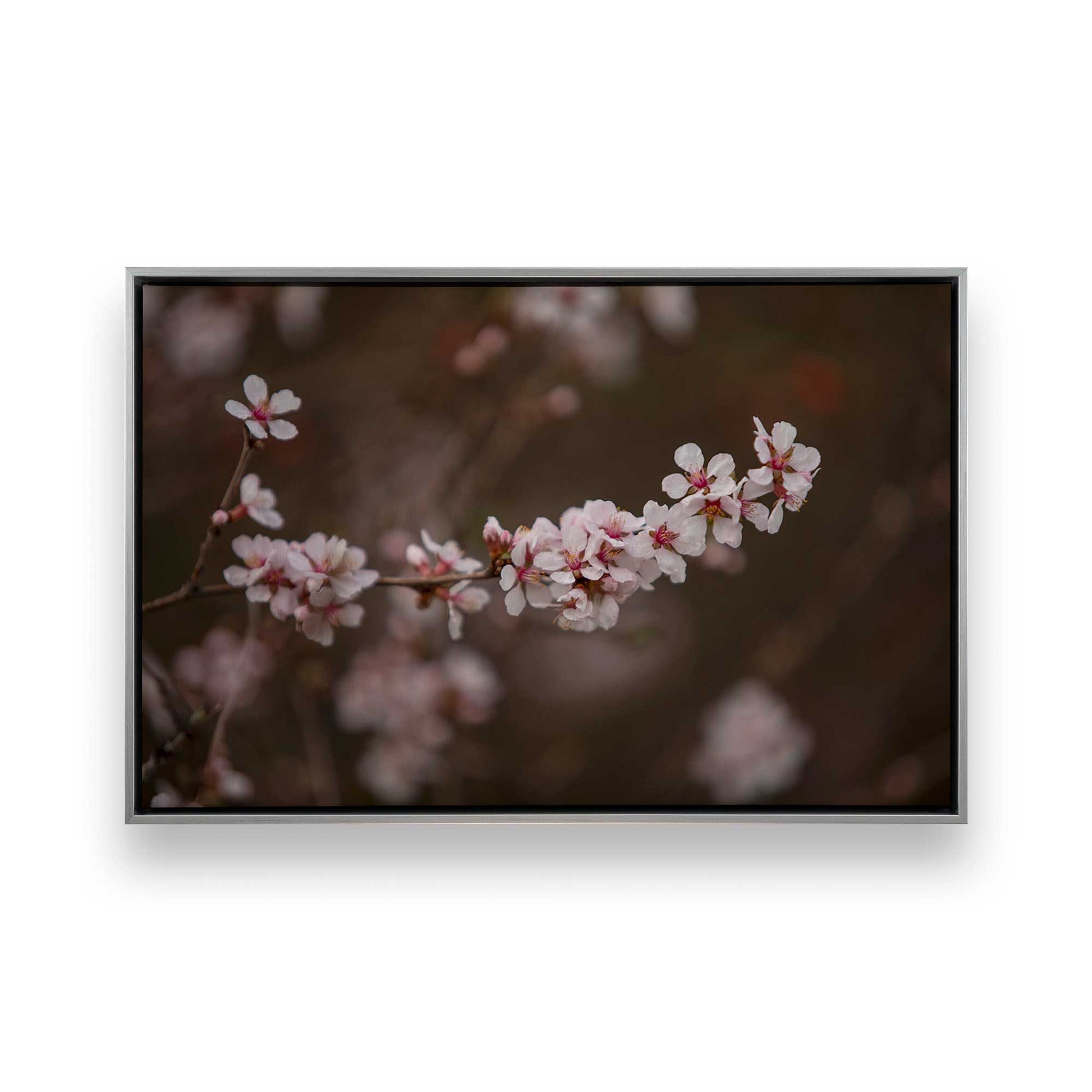 [Color:Polished Chrome], Picture of art in a Polished Chrome frame