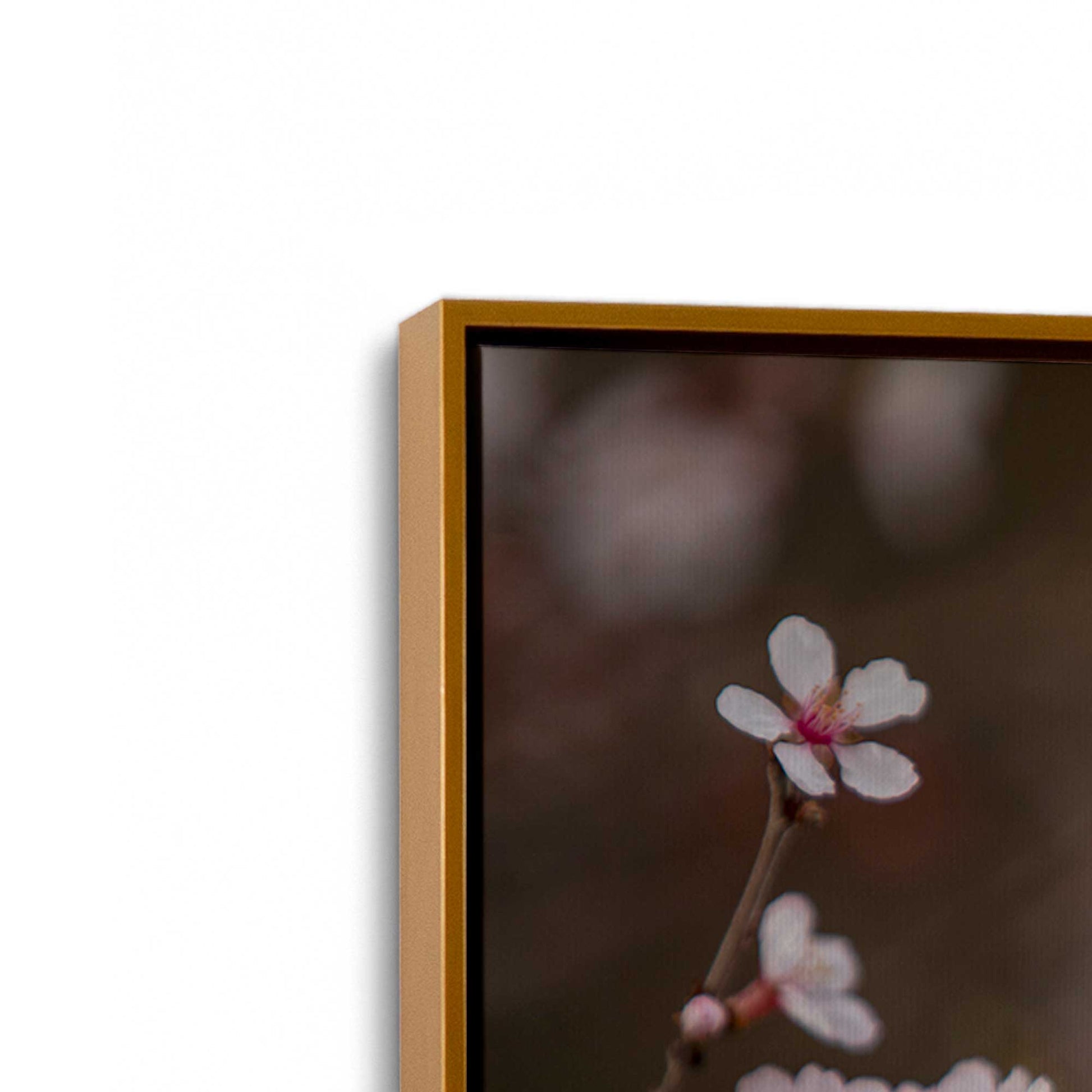 [Color:Polished Gold], Picture of art in a Polished Gold frame at an angle