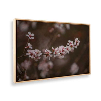 [Color:American Maple], Picture of the corner of the art