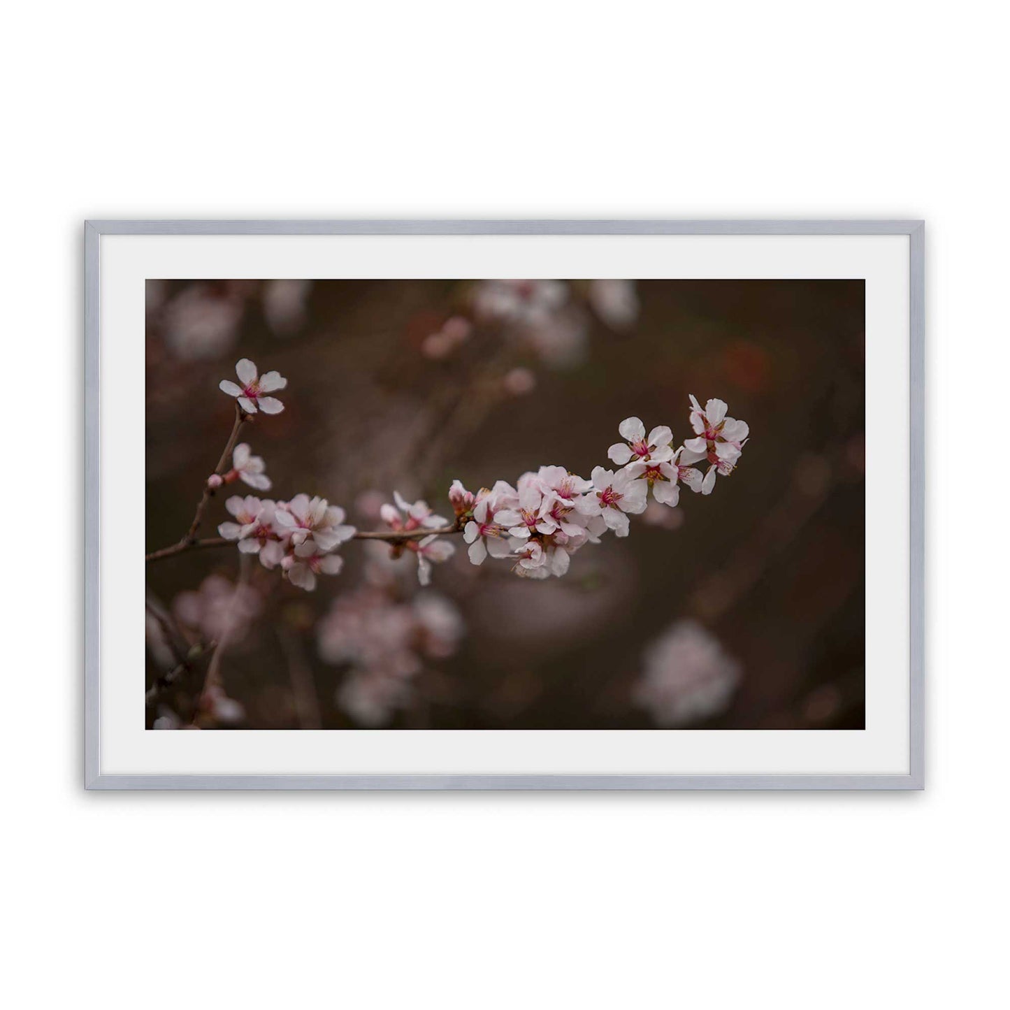 [Color:Polished Chrome], Picture of art in a Polished Chrome frame