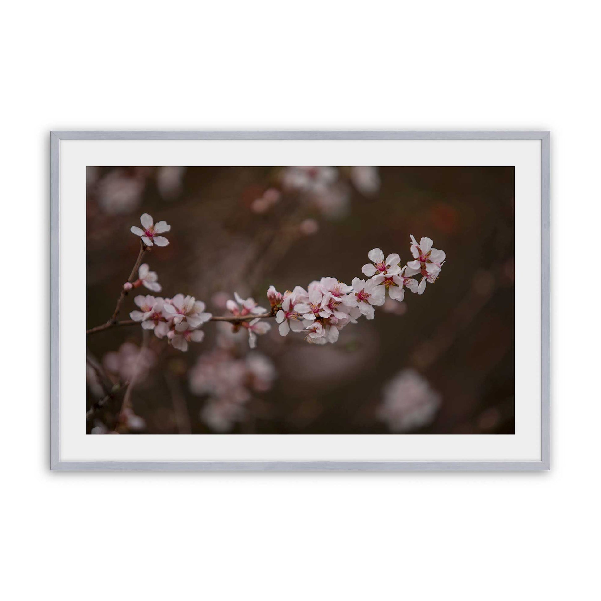 [Color:Polished Chrome], Picture of art in a Polished Chrome frame