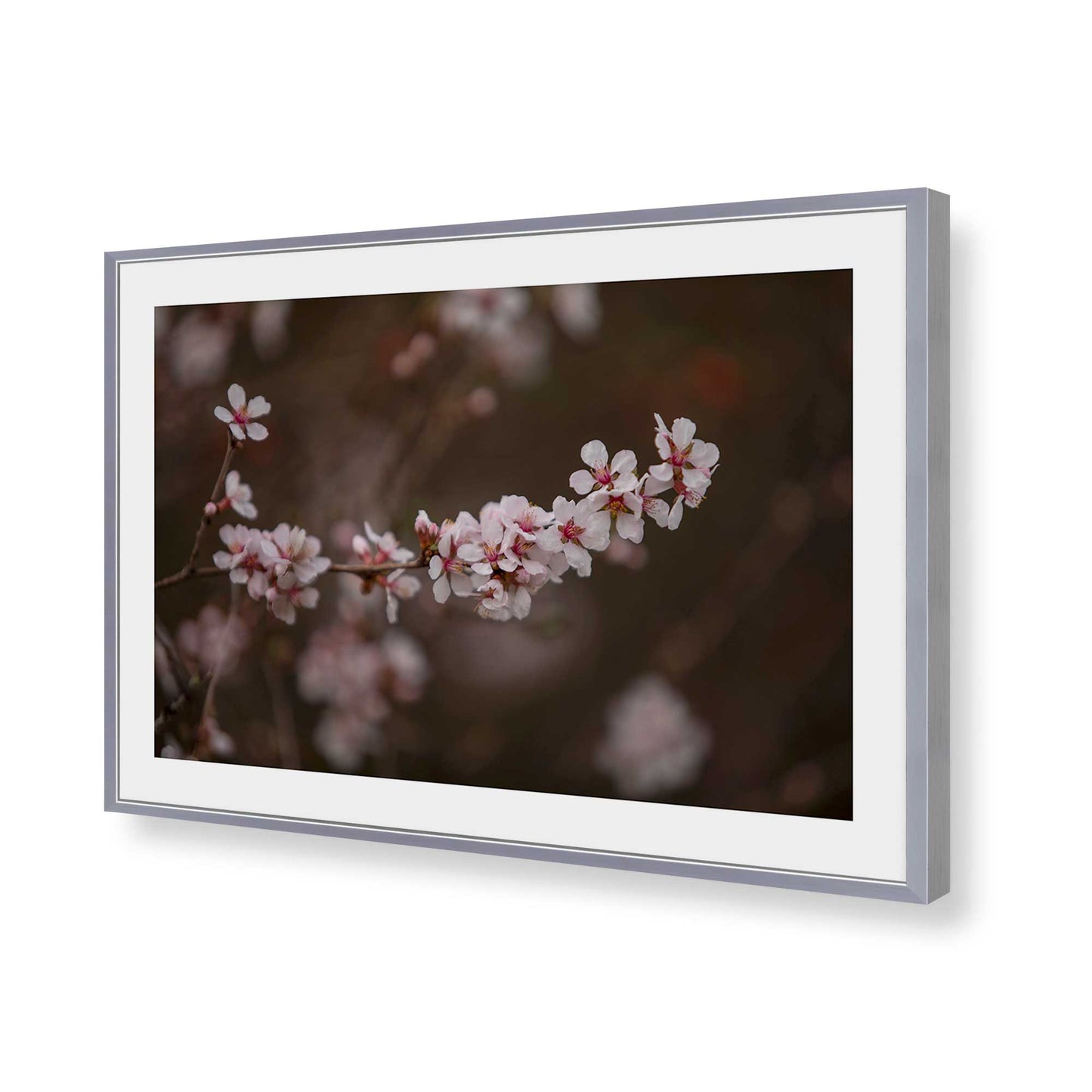 [Color:Polished Chrome], Picture of art in a Polished Chrome frame of the corner