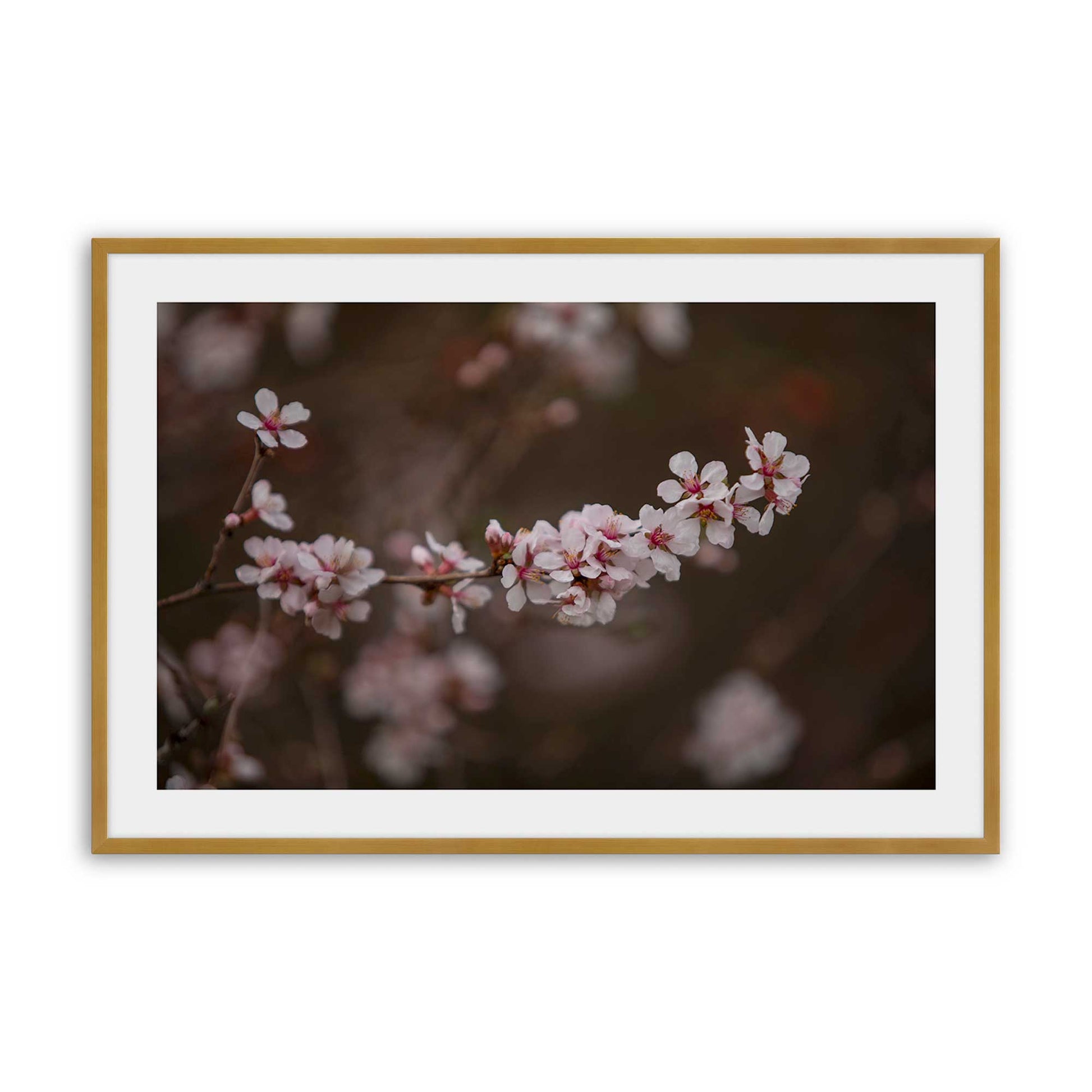 [Color:Polished Gold], Picture of art in a Polished Gold frame
