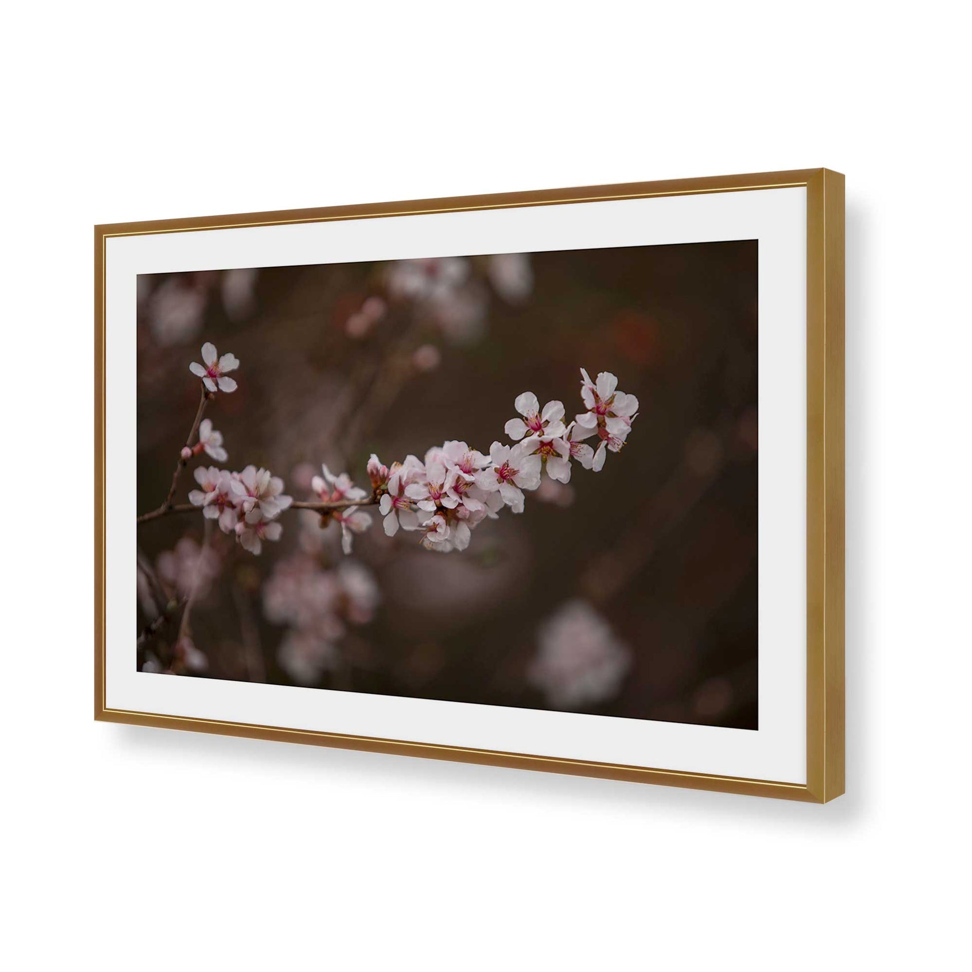 [Color:Polished Gold], Picture of art in a Polished Gold frame of the corner