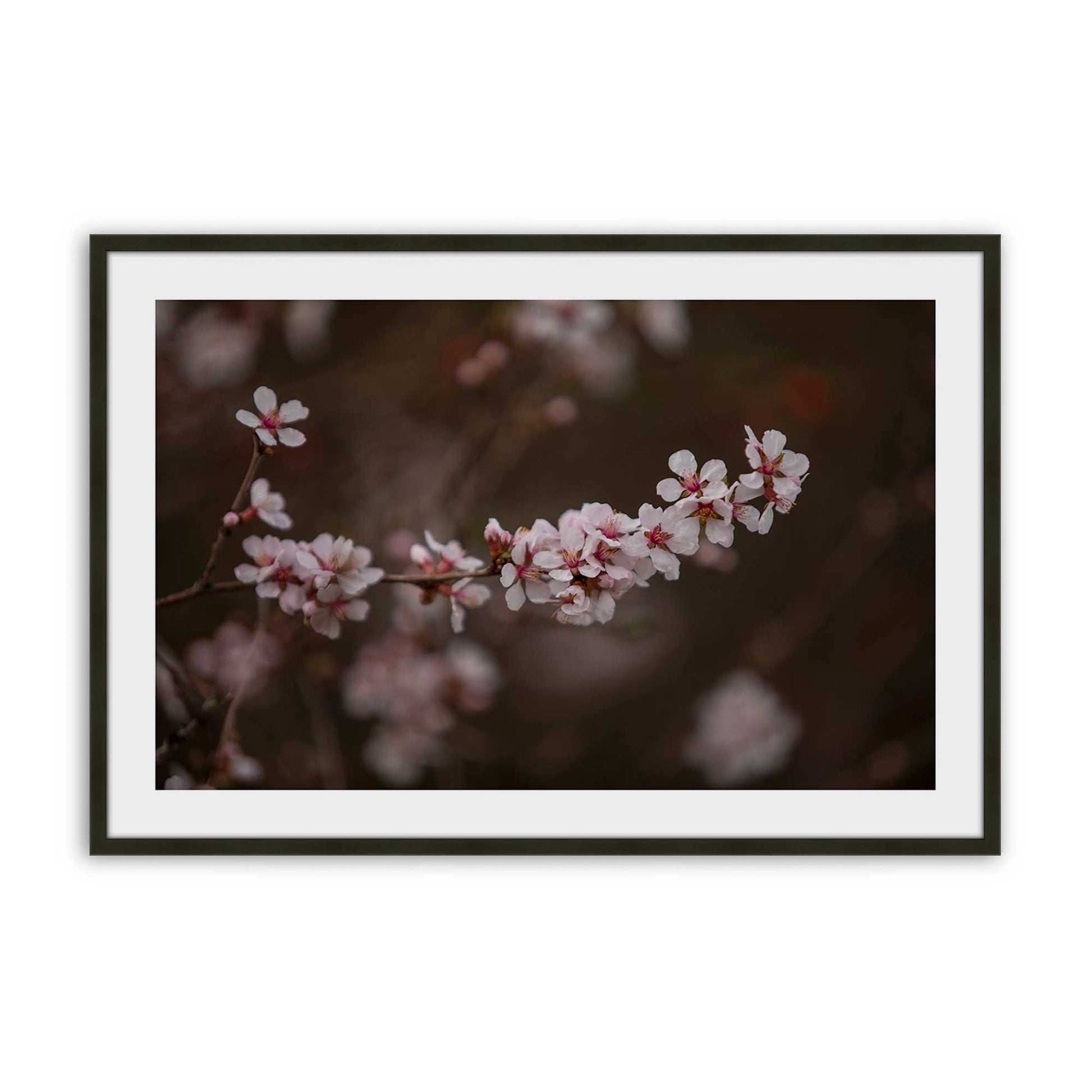 [Color:Satin Black], Picture of art in a Satin Black frame
