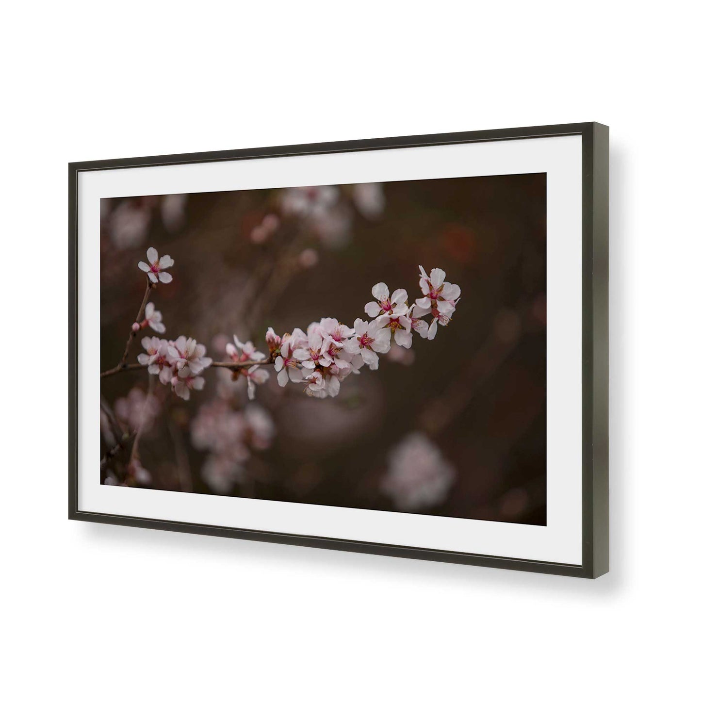[Color:Satin Black], Picture of art in a Satin Black frame of the corner