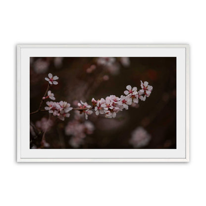 [Color:Opaque White], Picture of art in a Opaque White frame