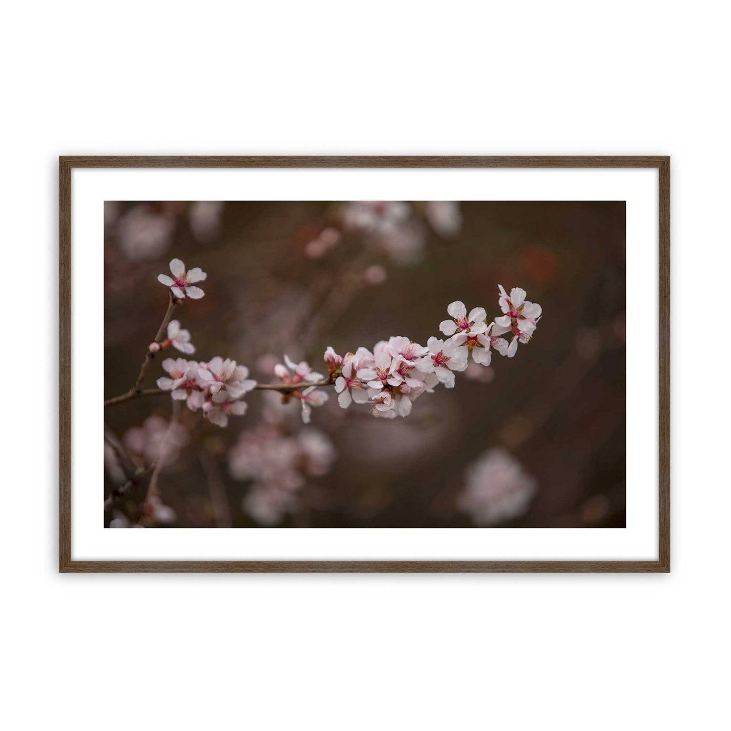 [Color:Walnut], Picture of art in a Walnut frame