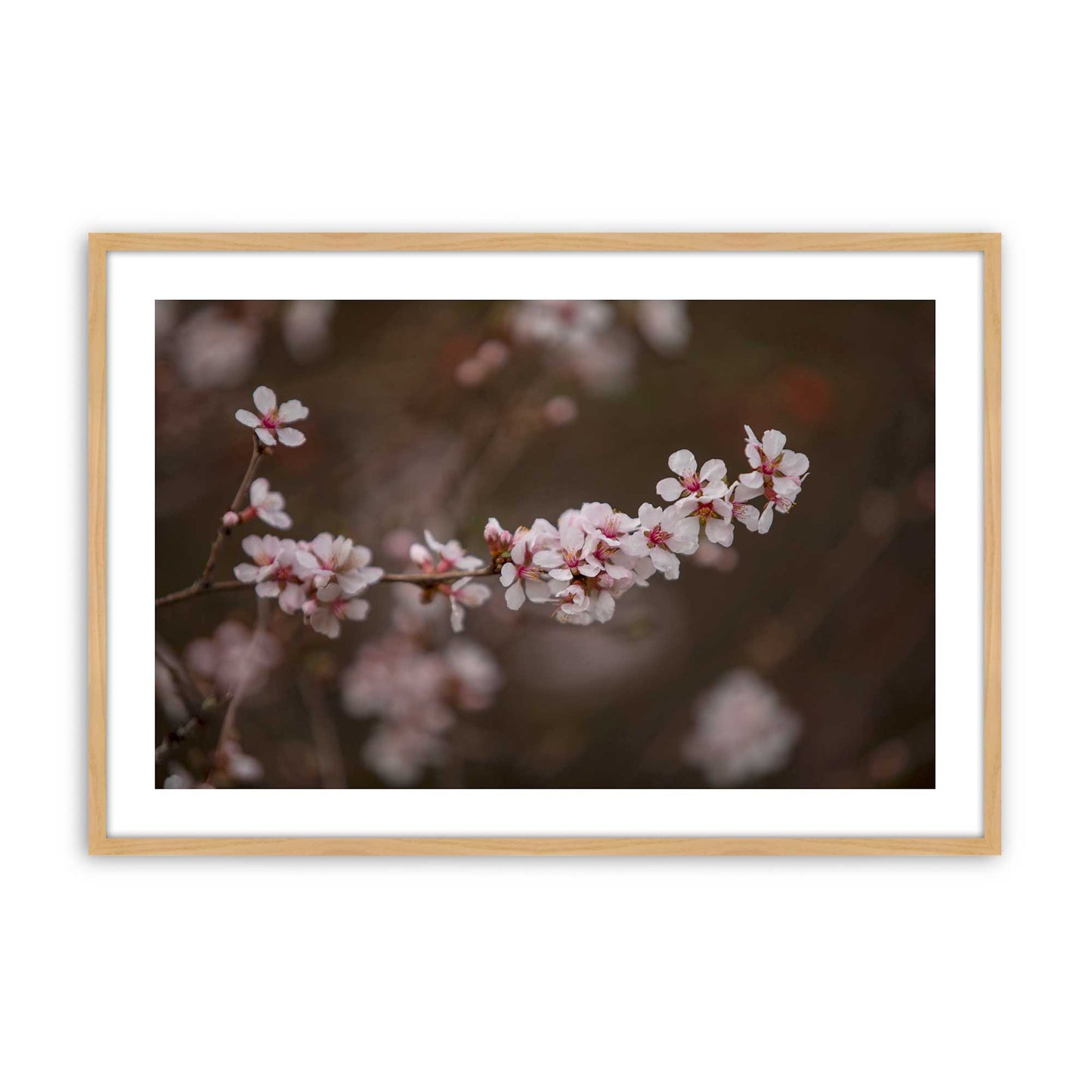 [Color:American Maple], Picture of art in a American Maple frame