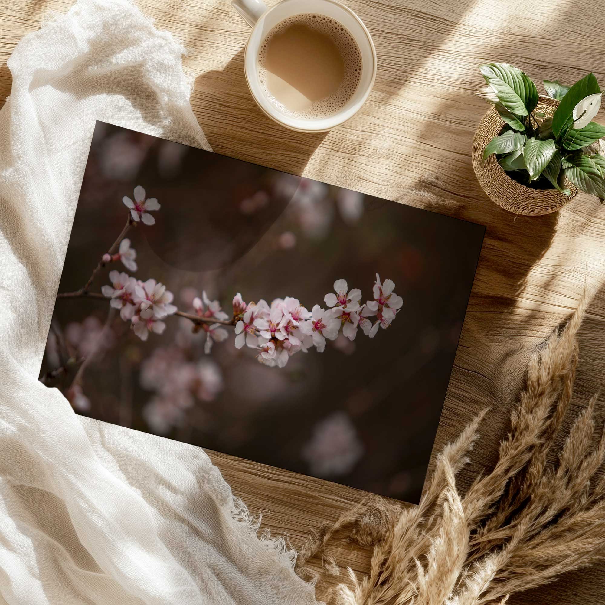 pretty pink blossoms II photography print of cherry blossoms on a table