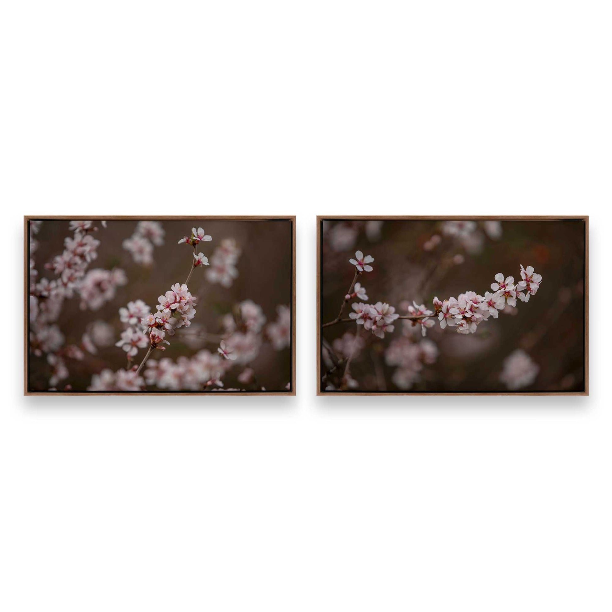 [Color:Walnut], Picture of art in a Walnut frame