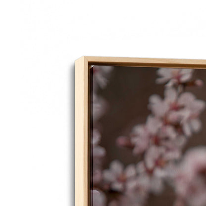 [Color:American Maple], Picture of the corner of the art