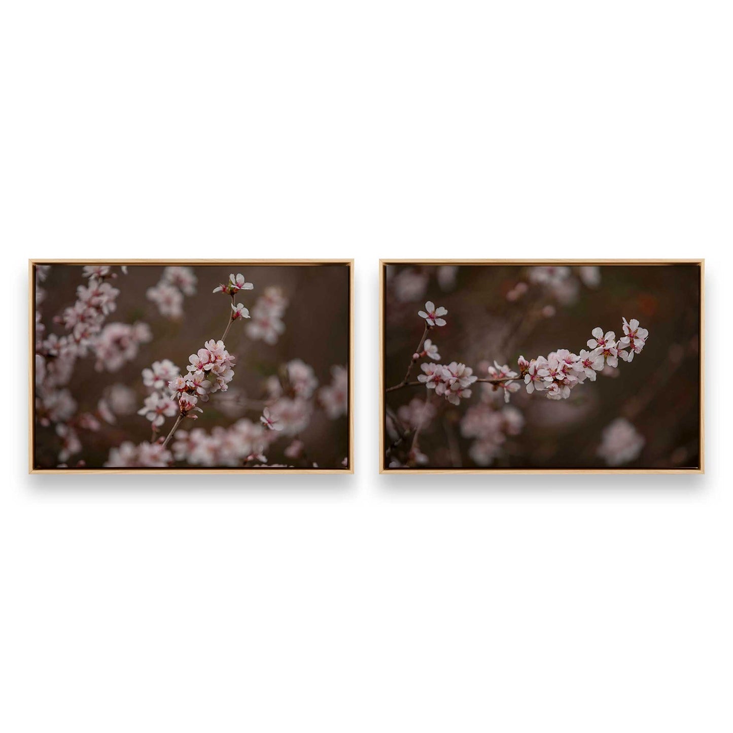[Color:American Maple], Picture of art in a American Maple frame