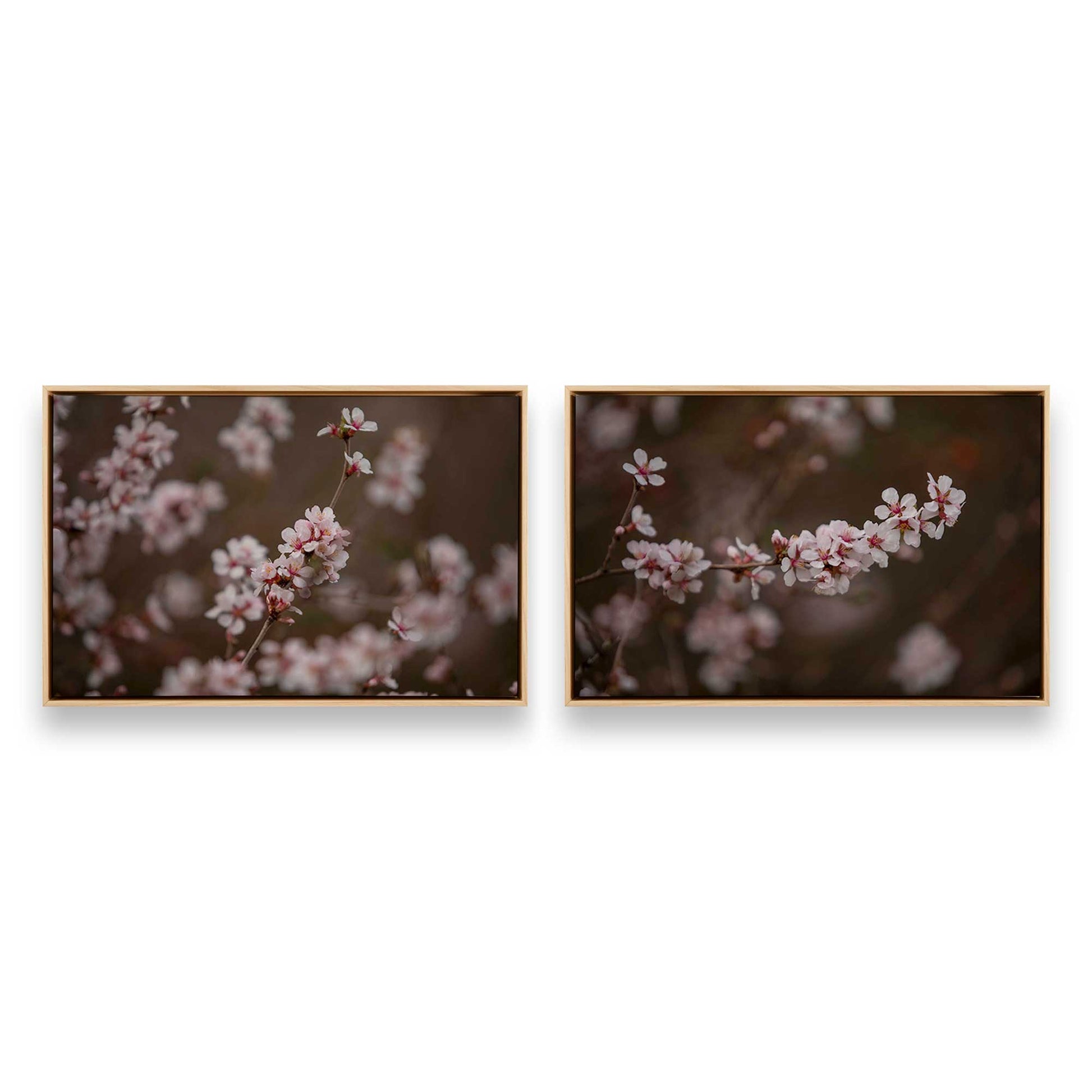 [Color:American Maple], Picture of art in a American Maple frame