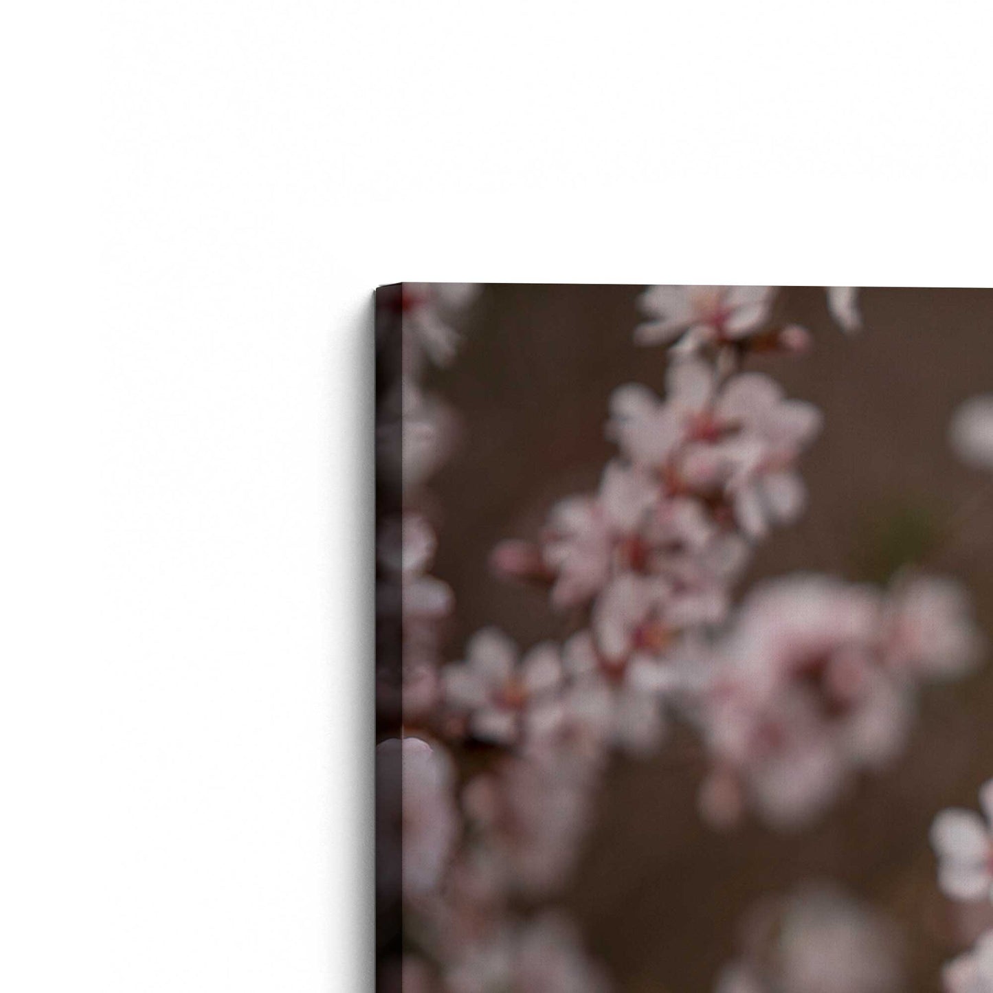 [Color:Stretched Canvas], Picture of the corner of the art